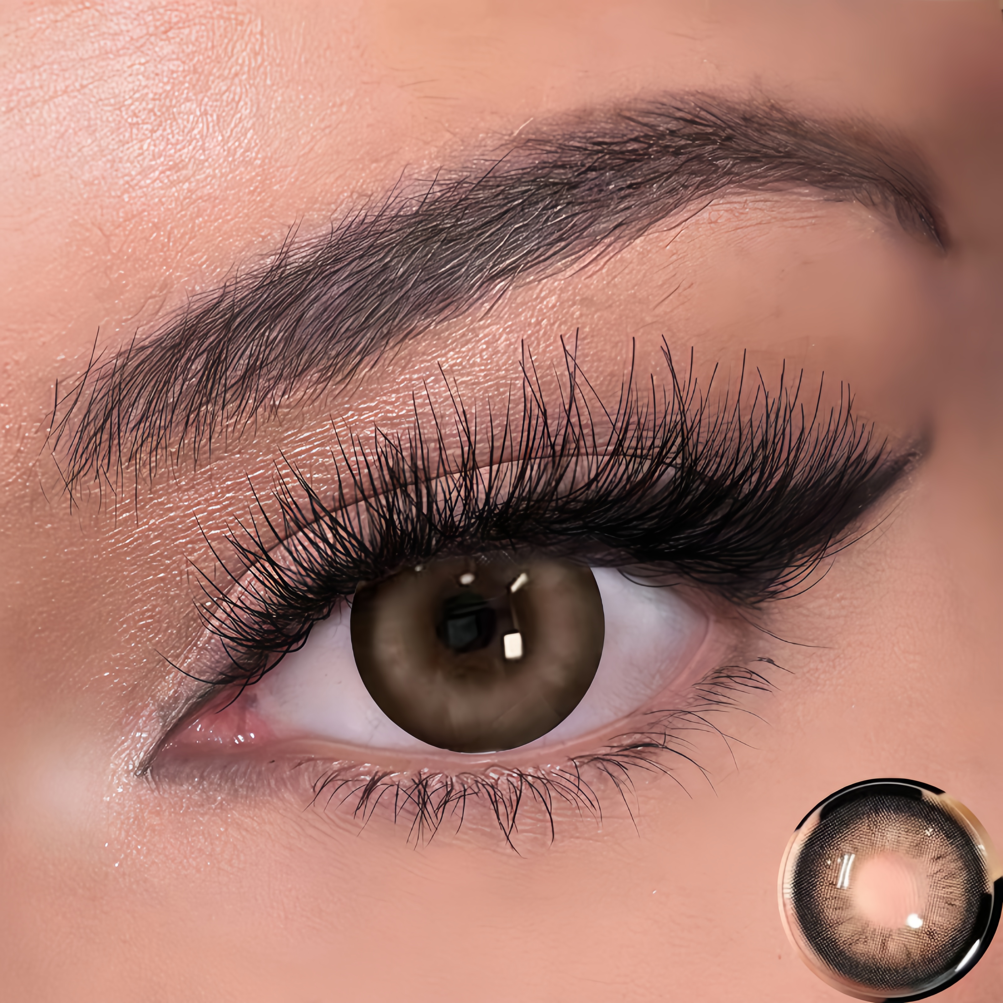 New Black Brown | Half-Yearly