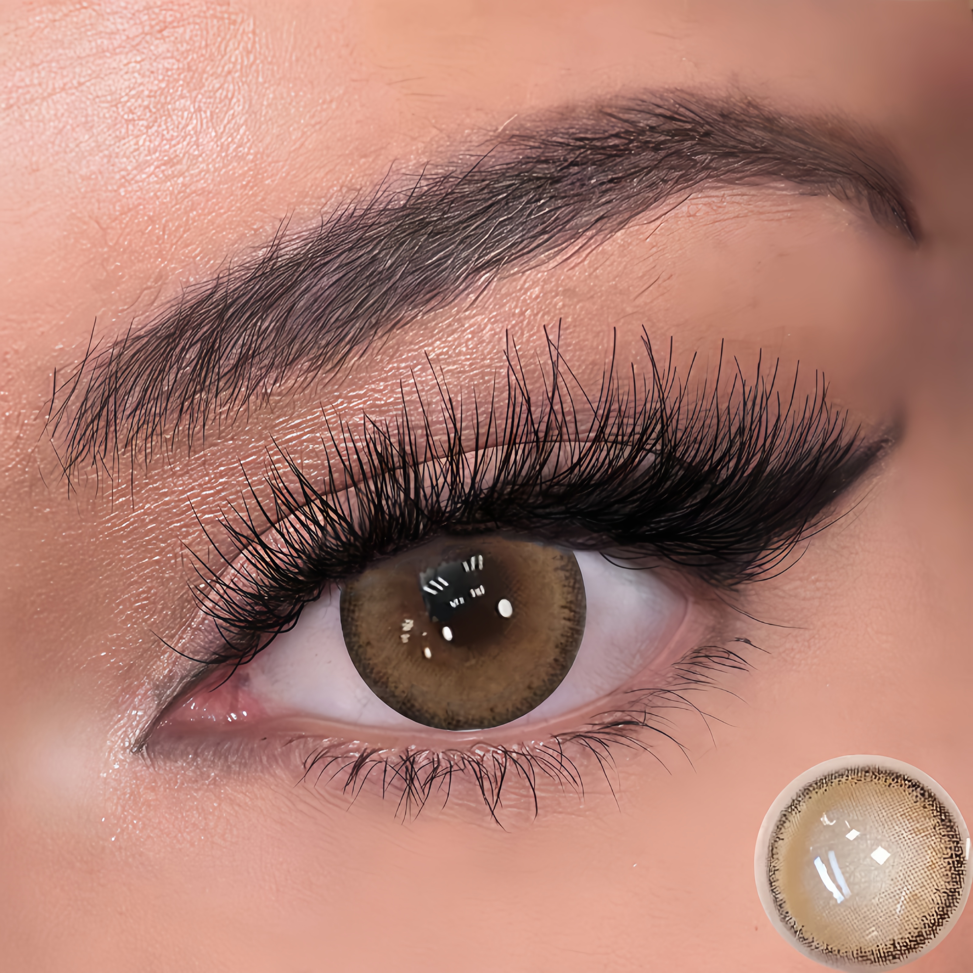 Hardwood Brown   | Half-Yearly