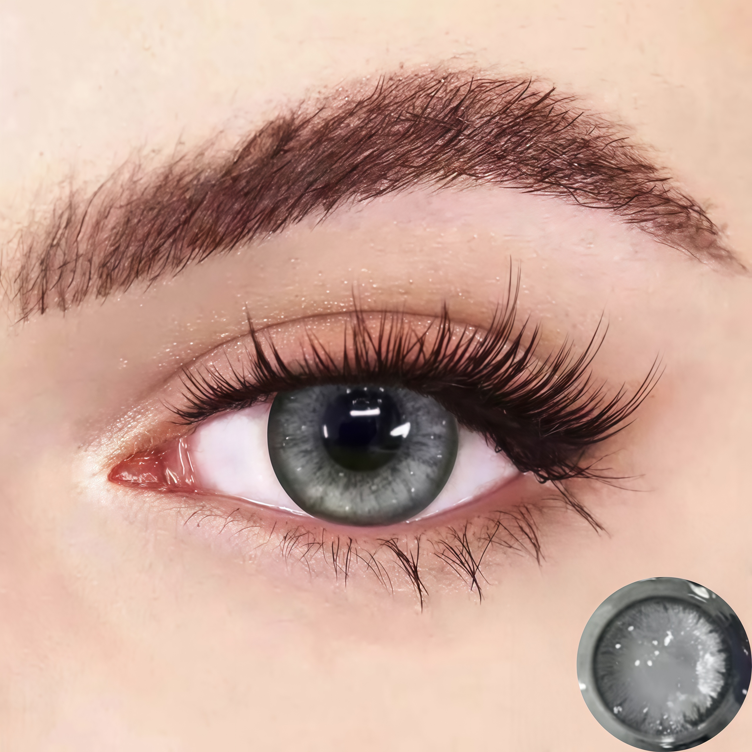 New Grey | Half-Yearly