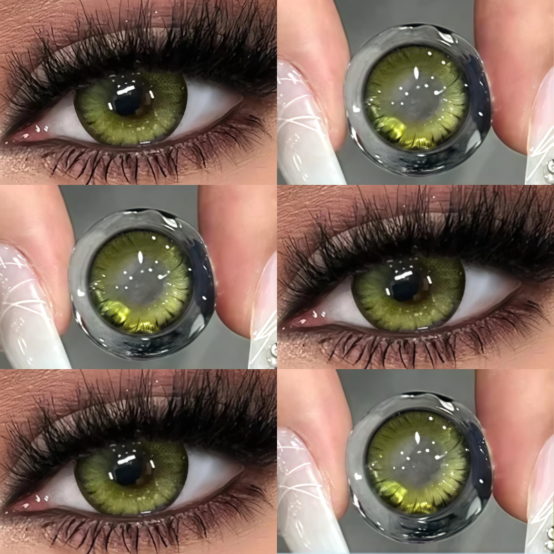 Dark Night Forest Green | Half-Yearly