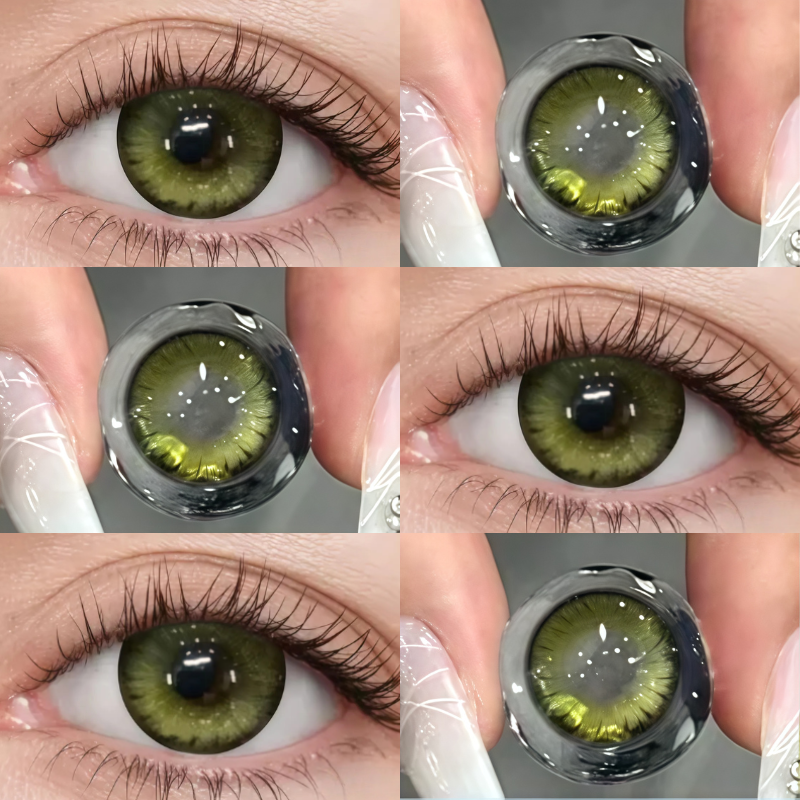 Dark Night Forest Green | Half-Yearly