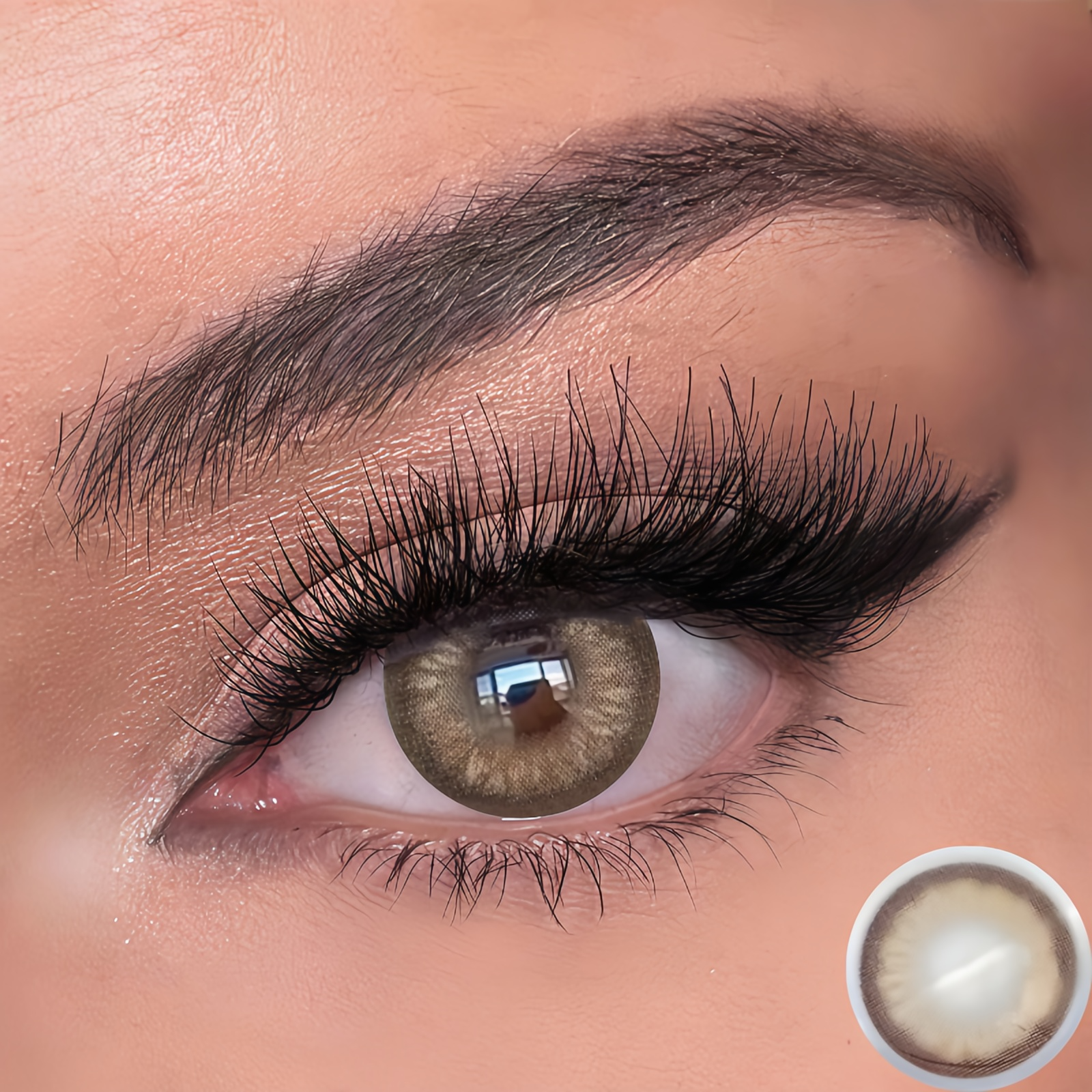 Black Swan Brown | Half-Yearly