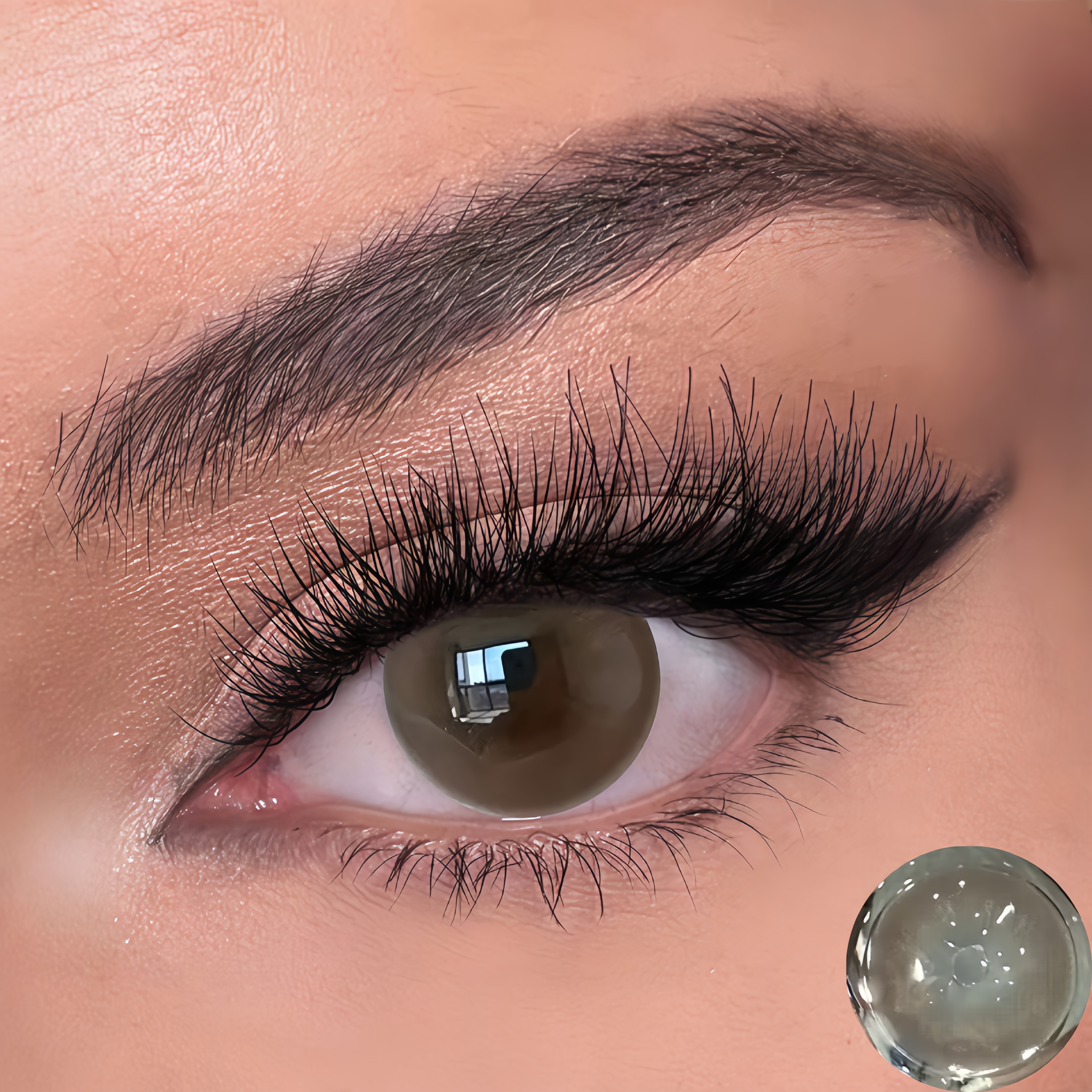 Gentle Apricot Brown | Half-Yearly