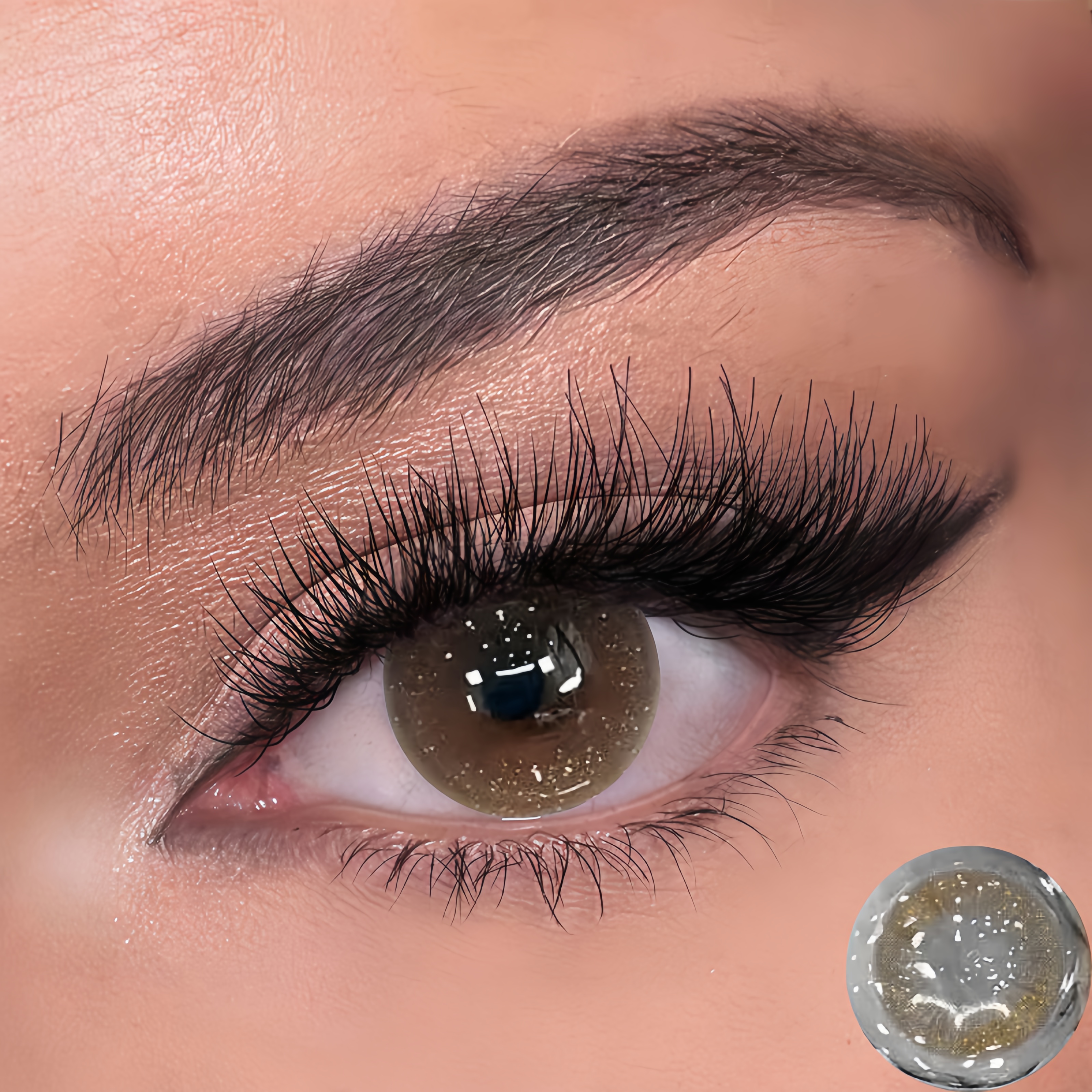 New Shine Brown | Half-Yearly