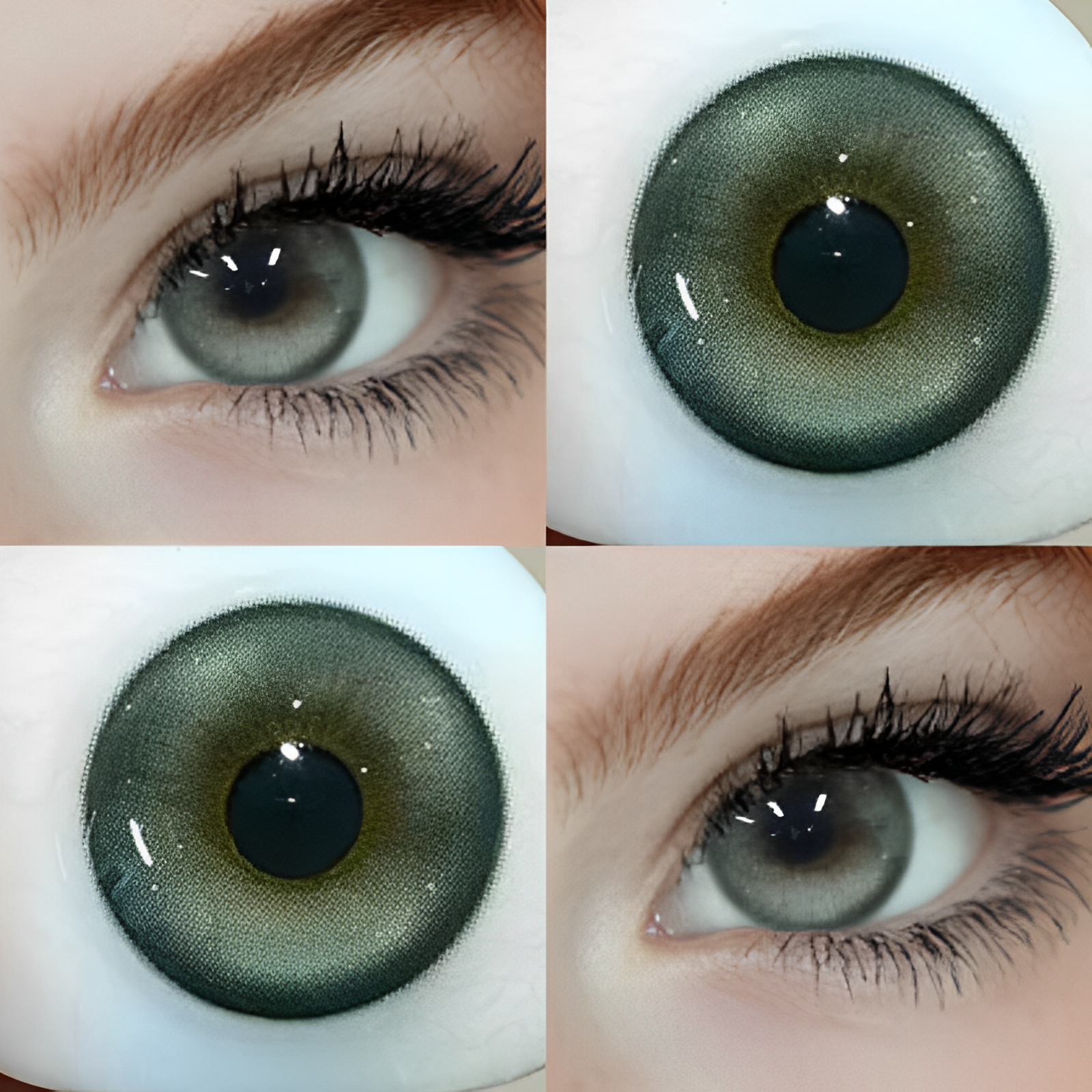 Ghost Green | Half-Yearly