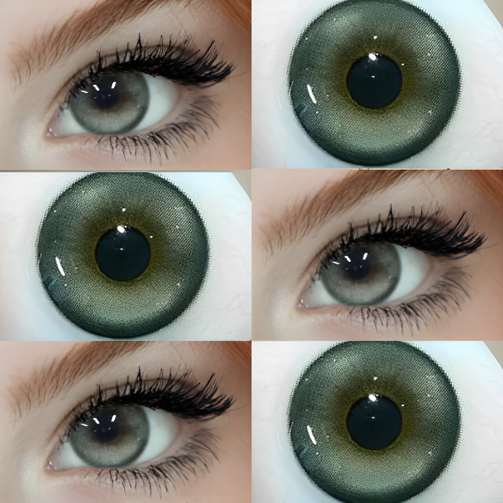 Ghost Green | Half-Yearly