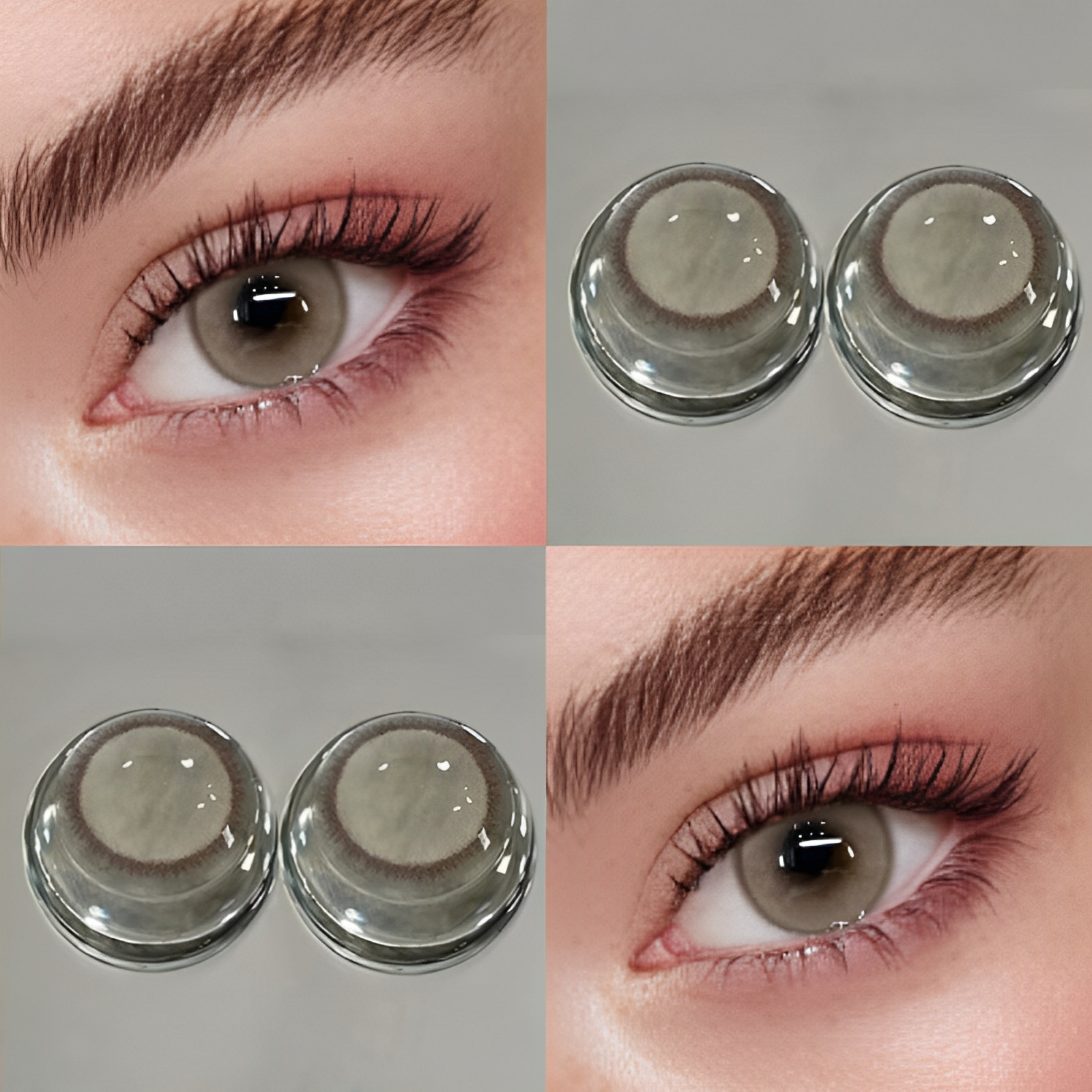 Fog Brown | Half-Yearly