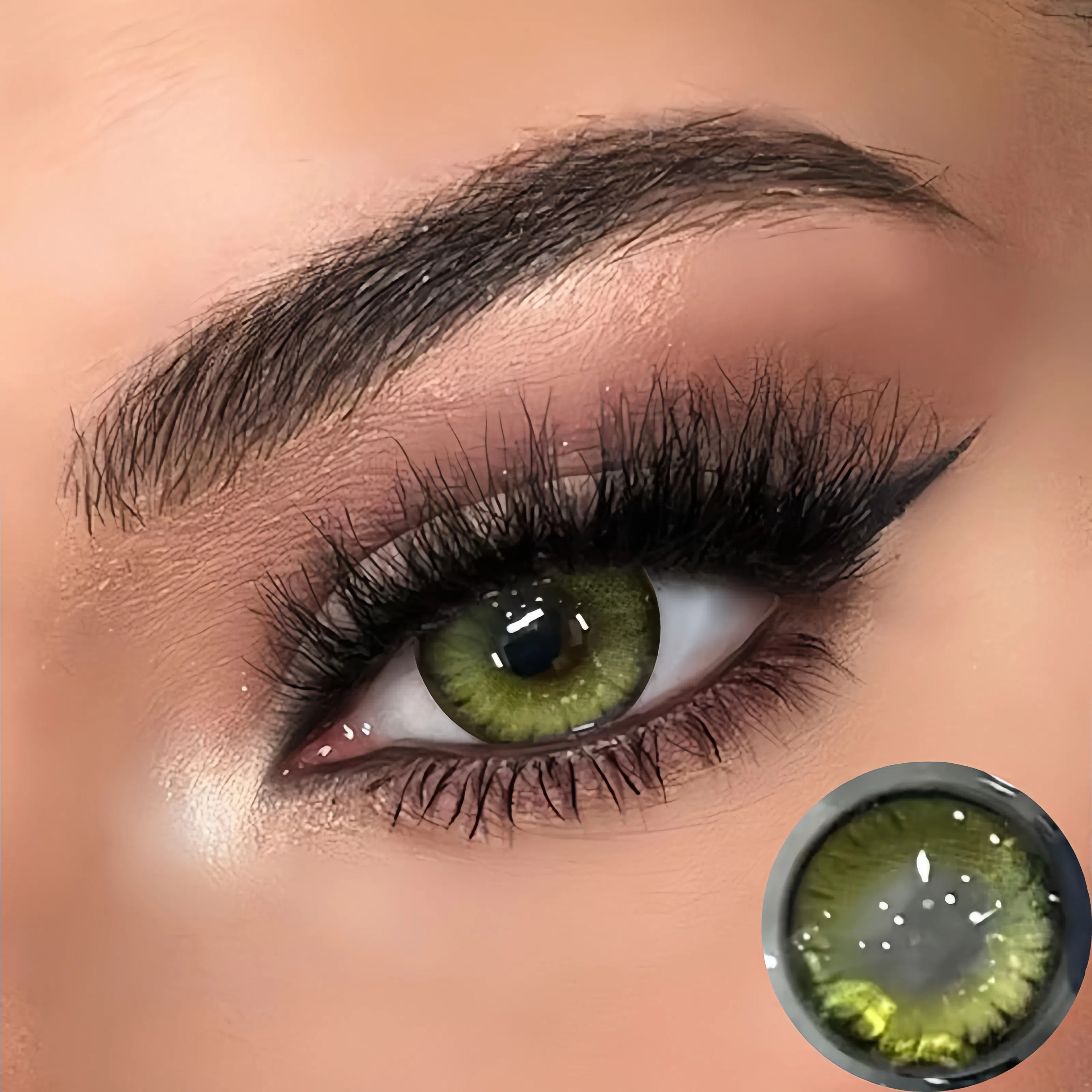 Dark Night Forest Green | Half-Yearly