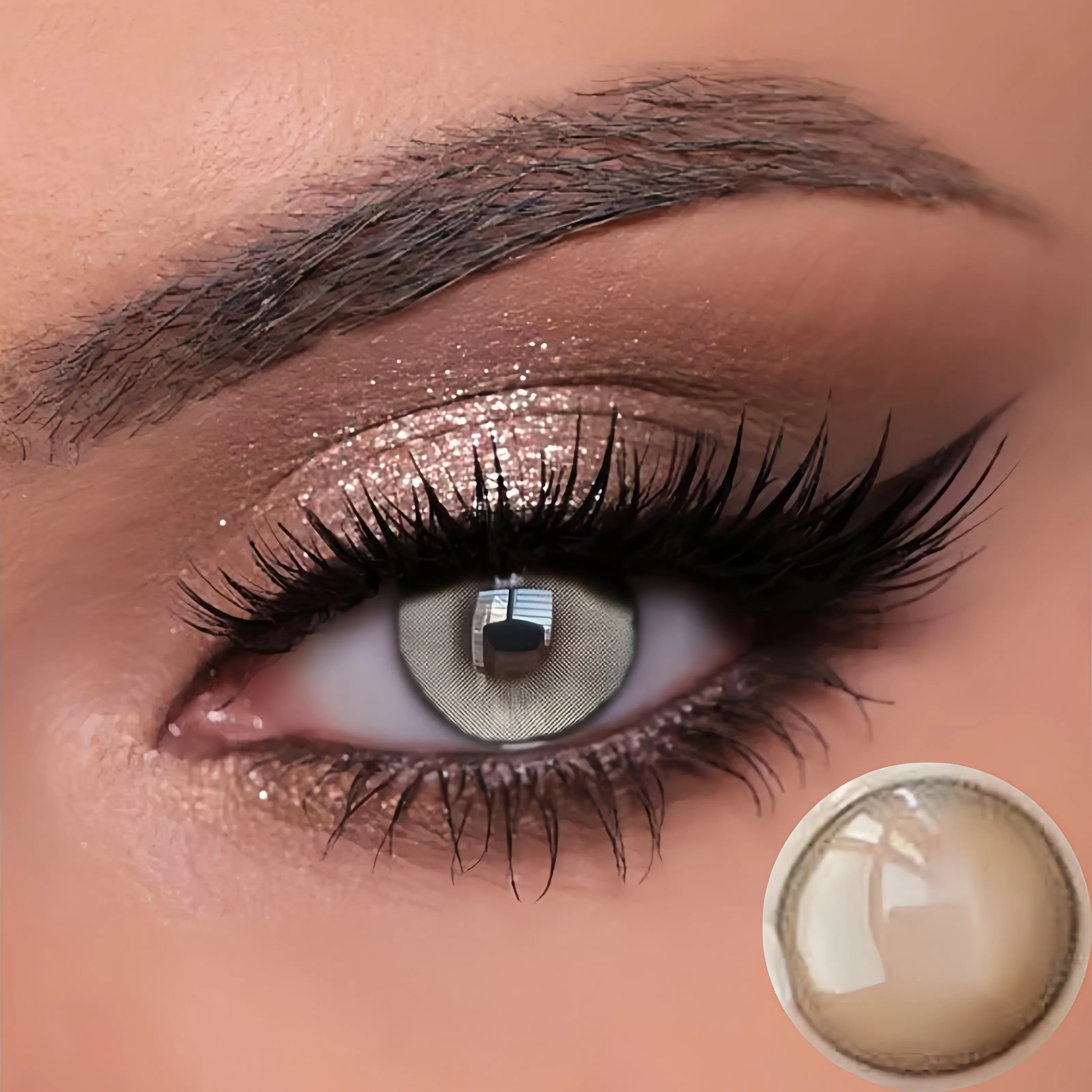 Time Travel Black  | Half-Yearly