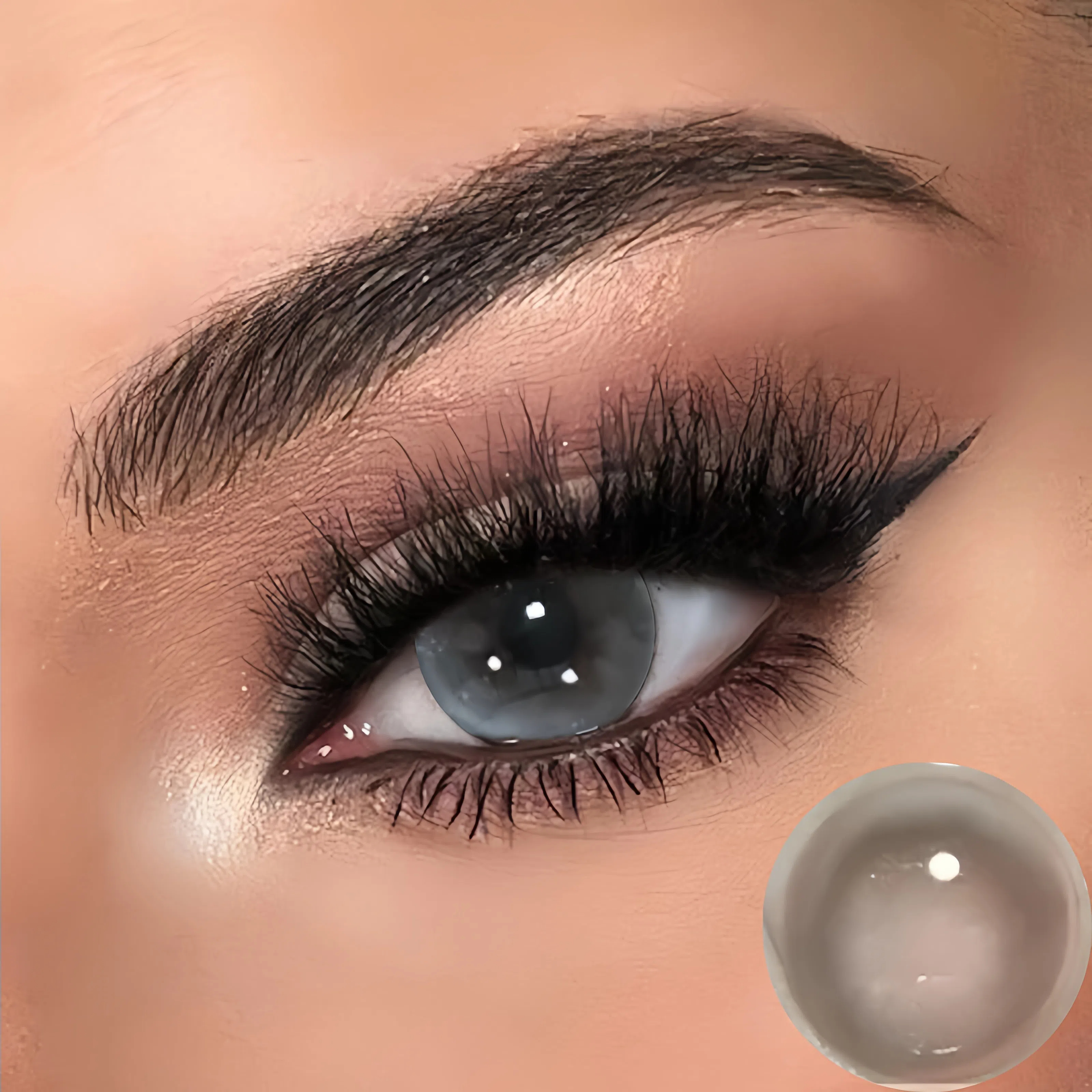 Sydney Dream Gray | Half-Yearly