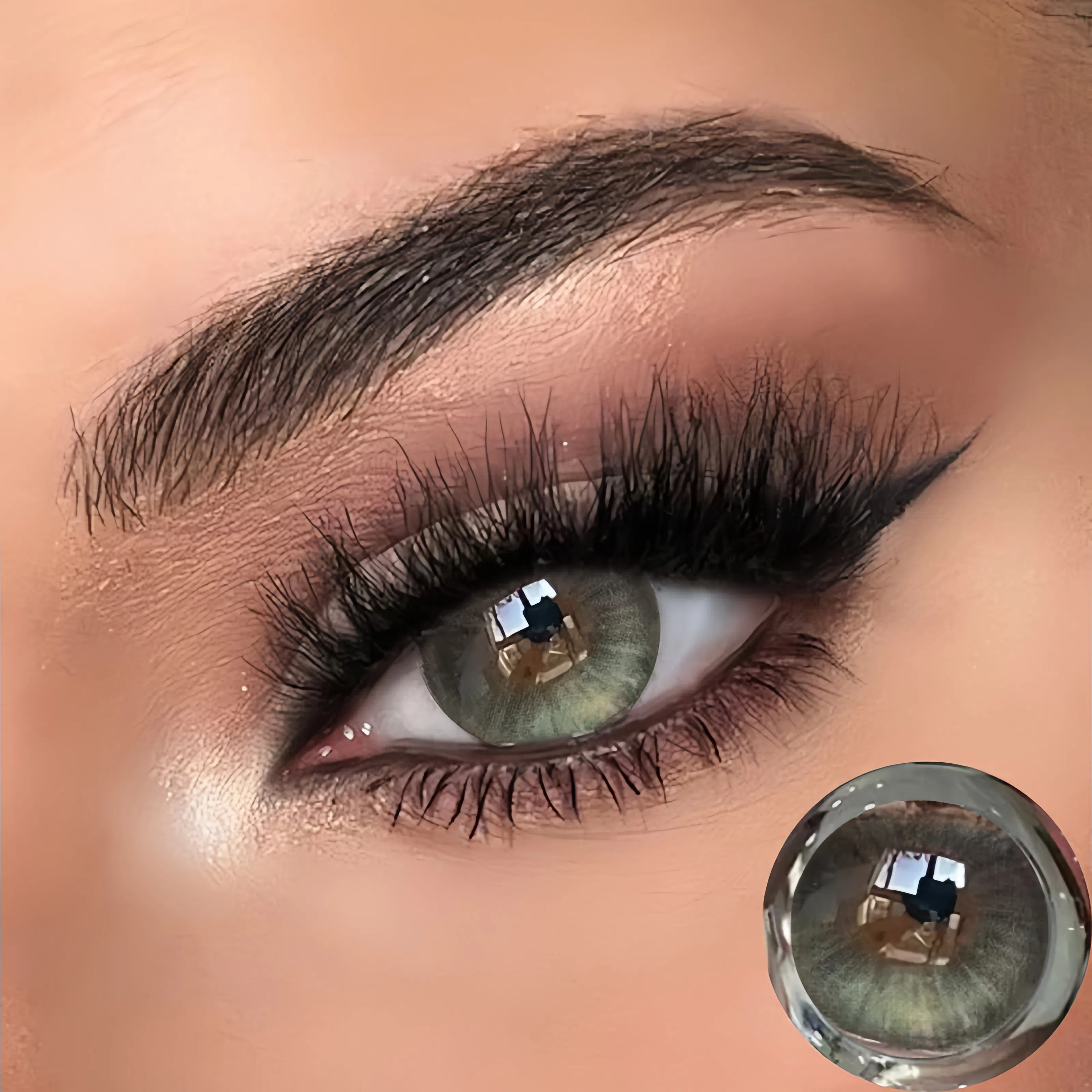 Desert Northern Lights | Half-Yearly