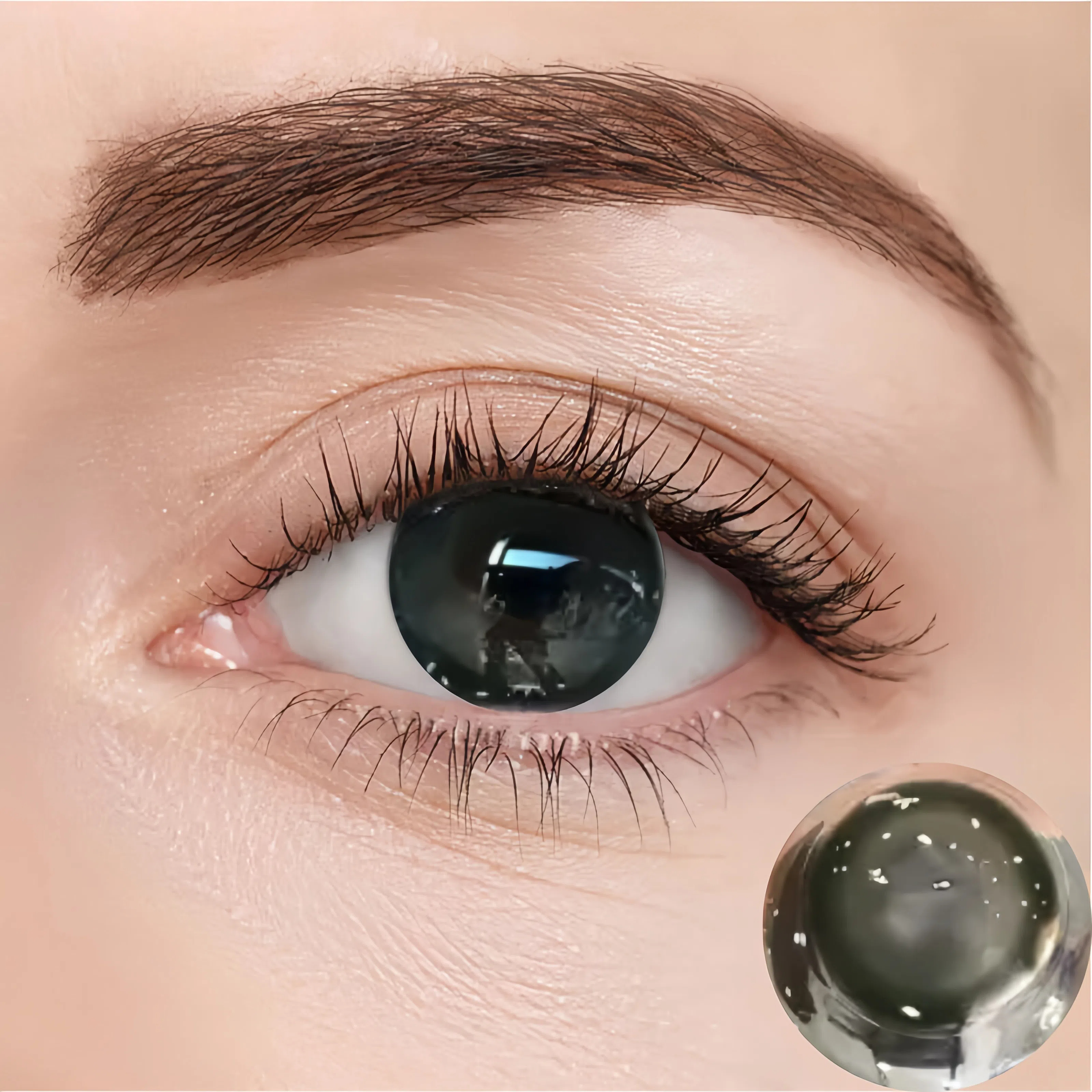 Deep Dark Green | Half-Yearly