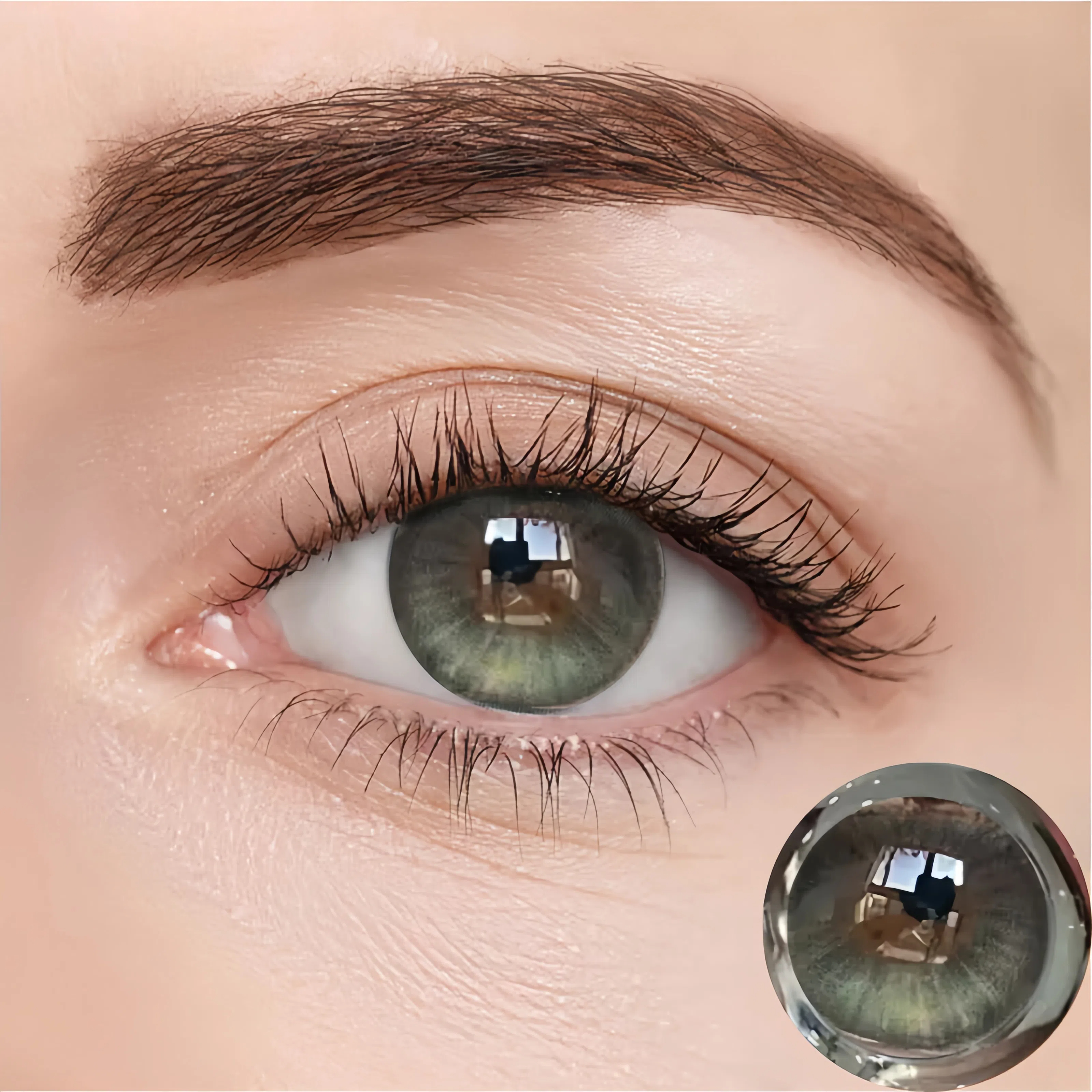 Desert Northern Lights | Half-Yearly