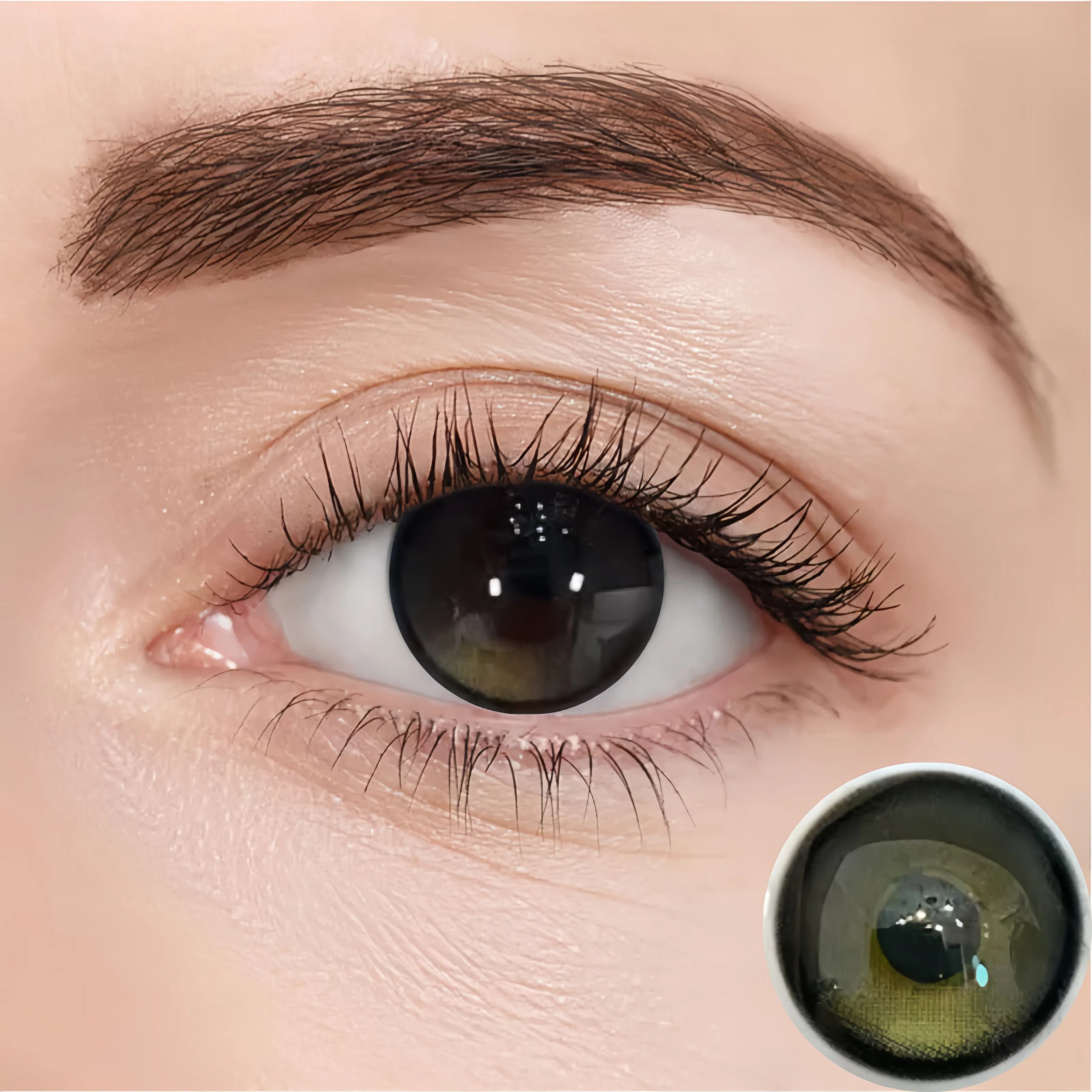 Black Green Highlight | Half-Yearly