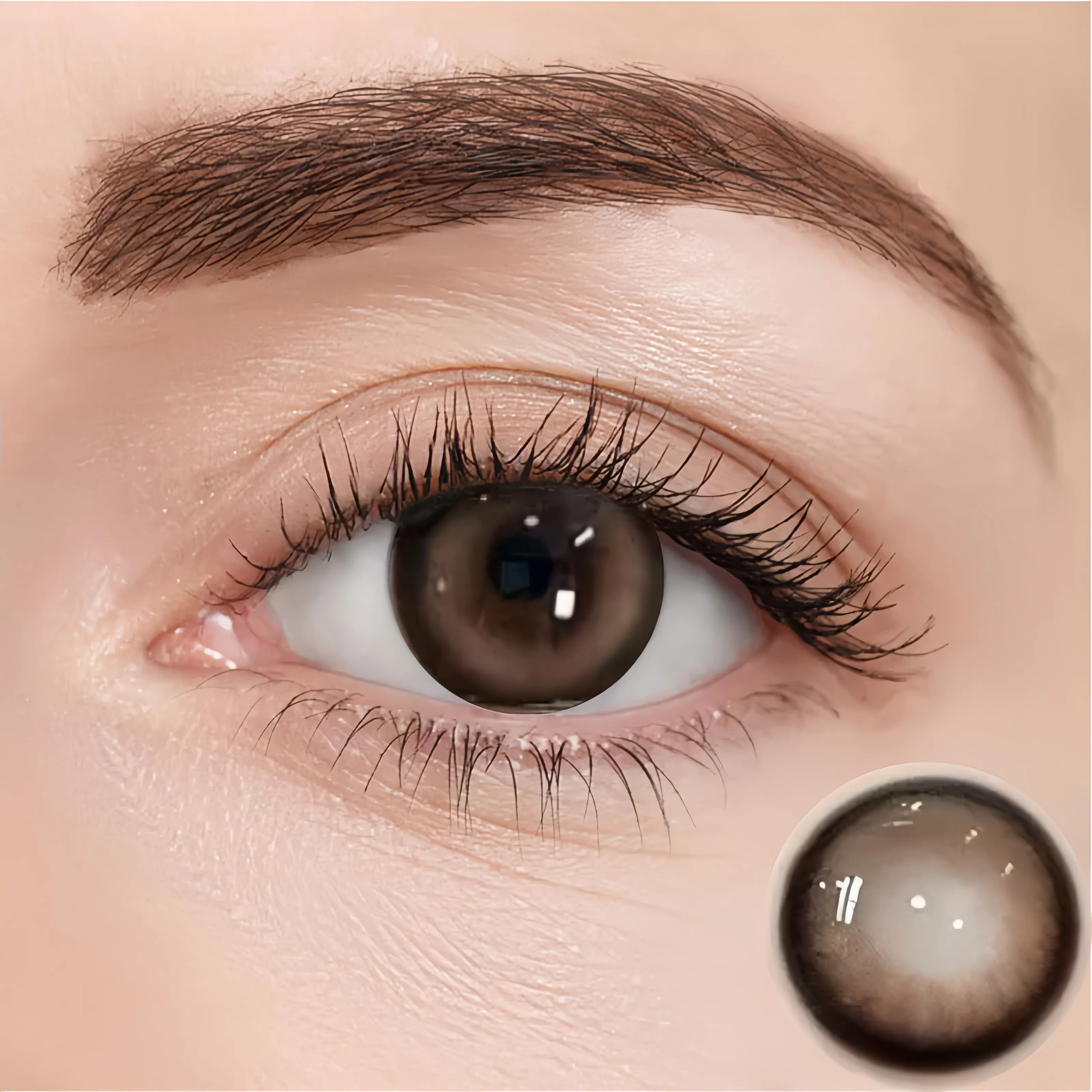 Sweetheart Brown | Half-Yearly