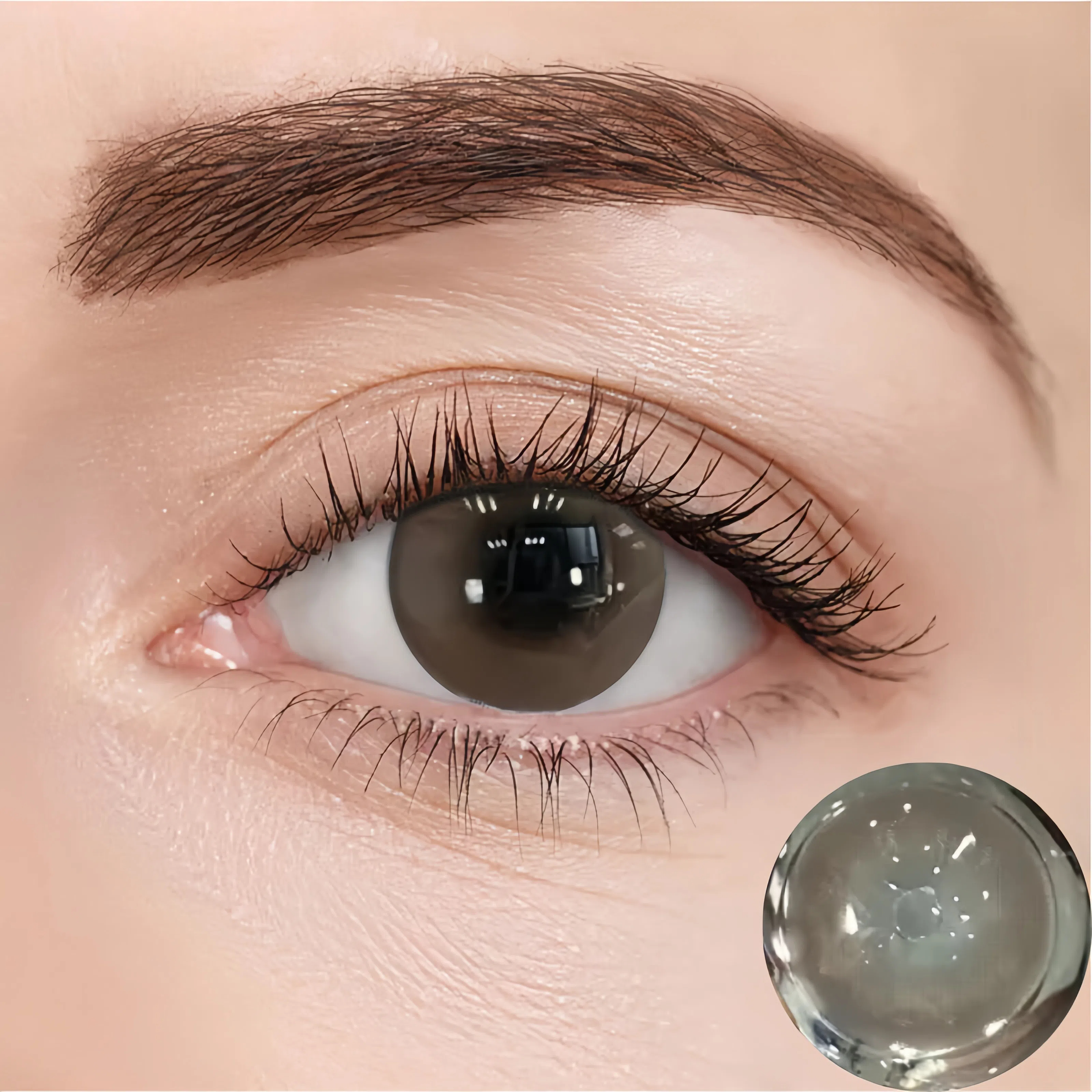 Gentle Apricot Brown | Half-Yearly