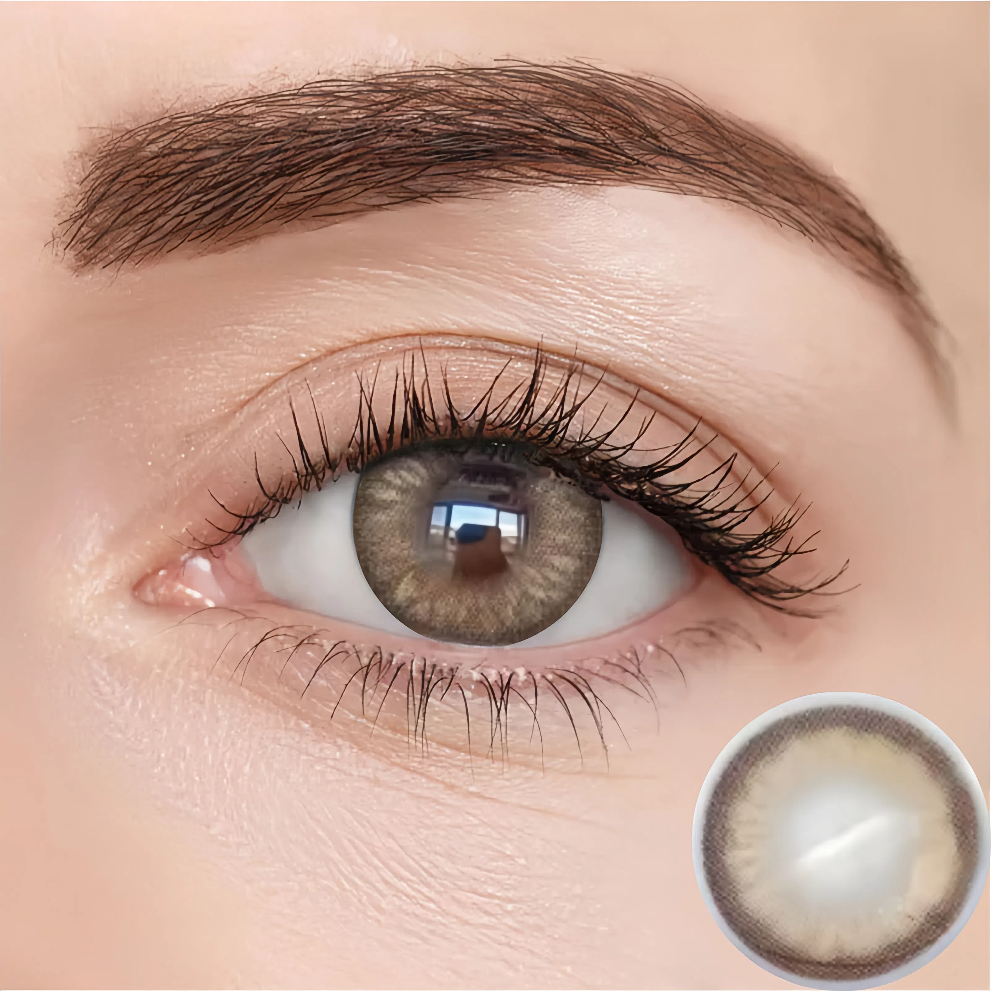 Black Swan Brown | Half-Yearly