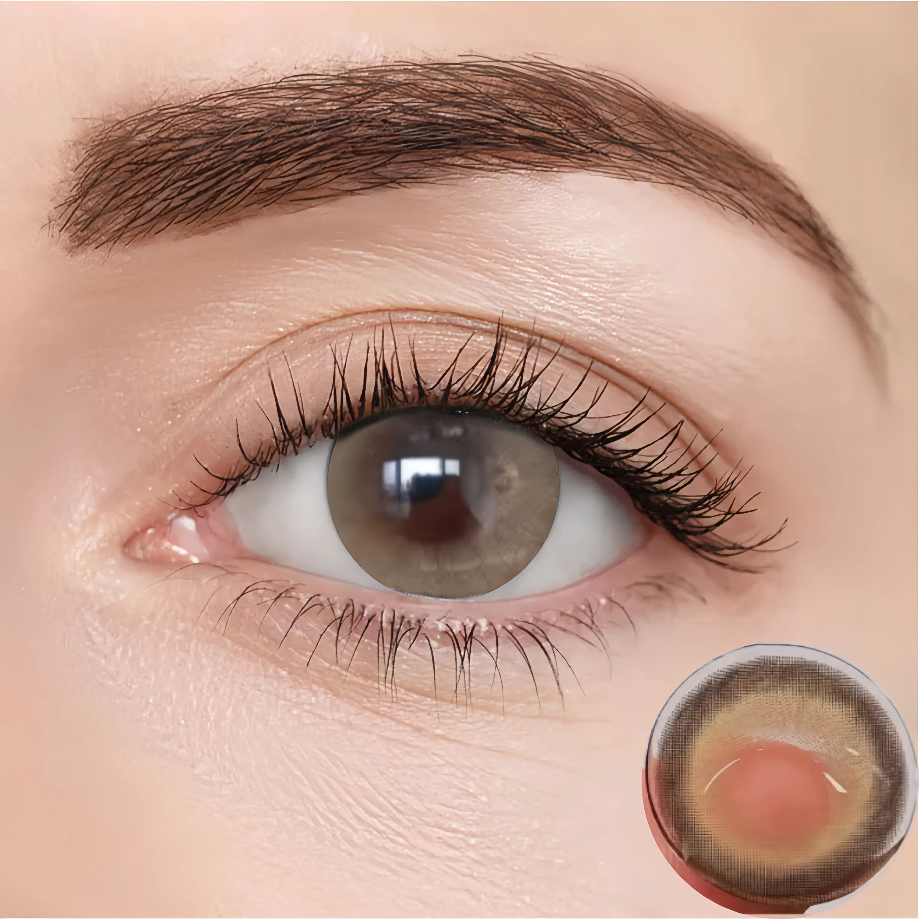 New Brown | Half-Yearly