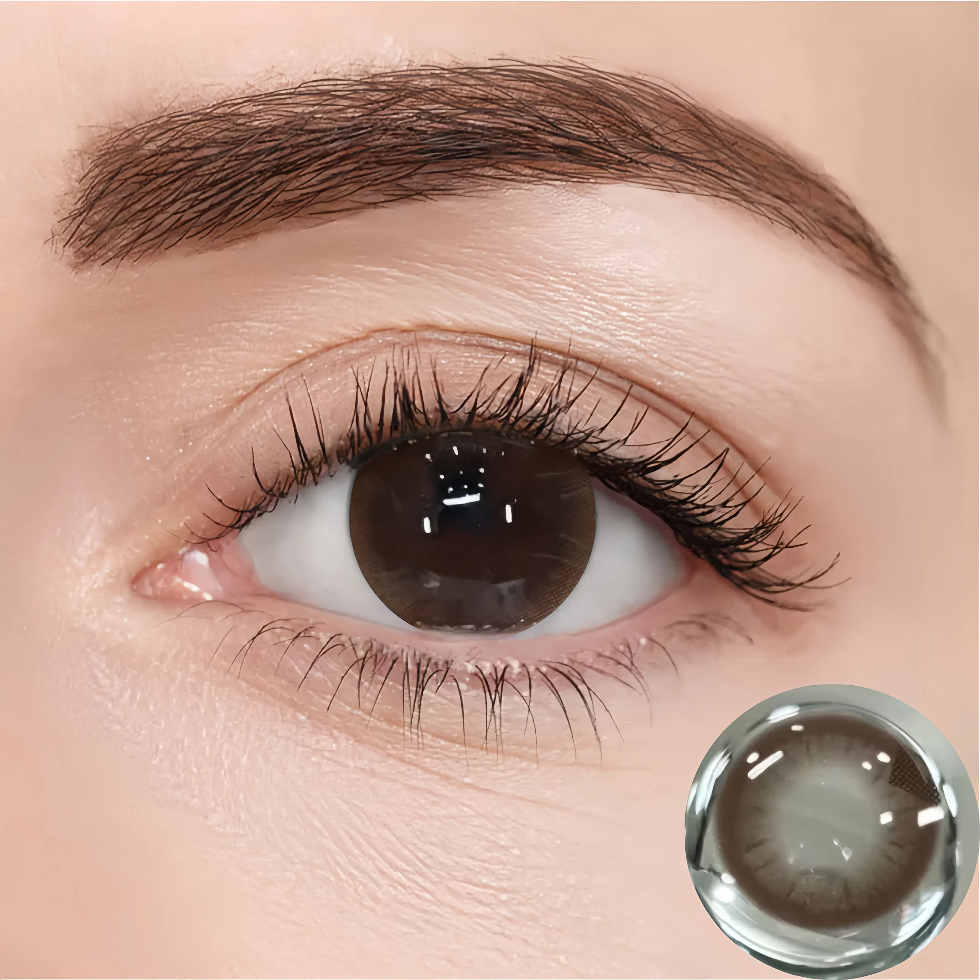 Red Bean Chestnut Contact Lenses | Yearly