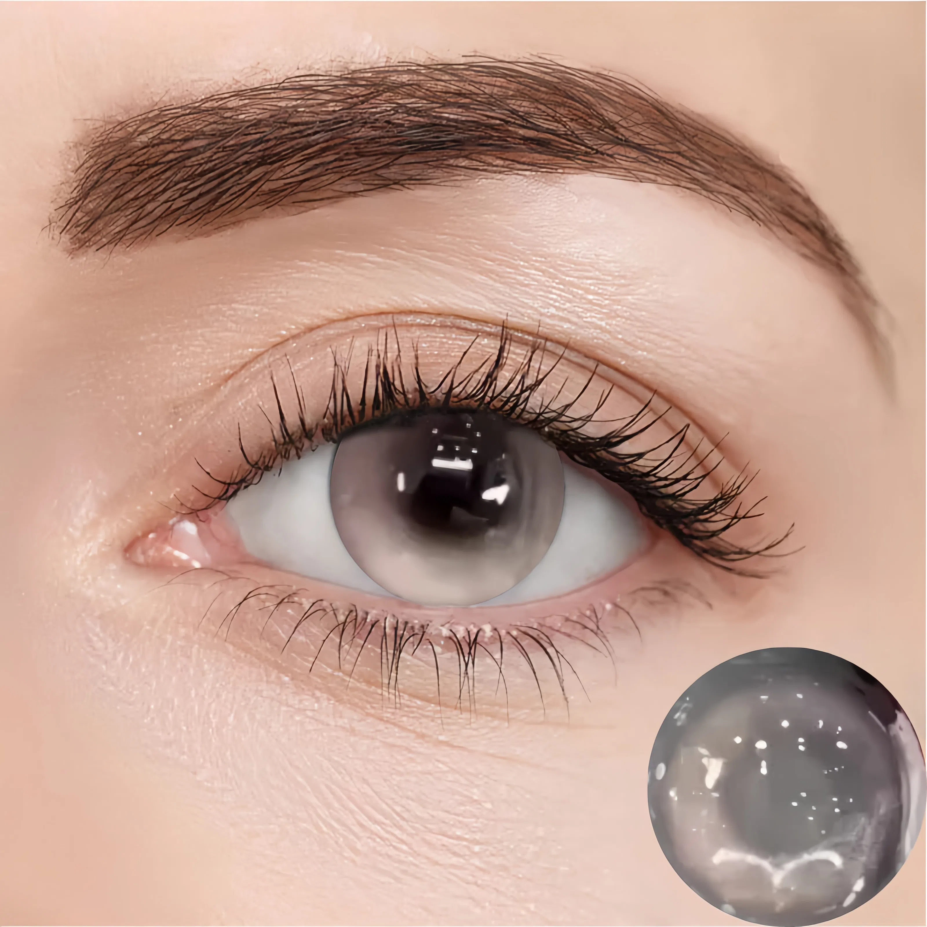 Metallic Brown | Half-Yearly