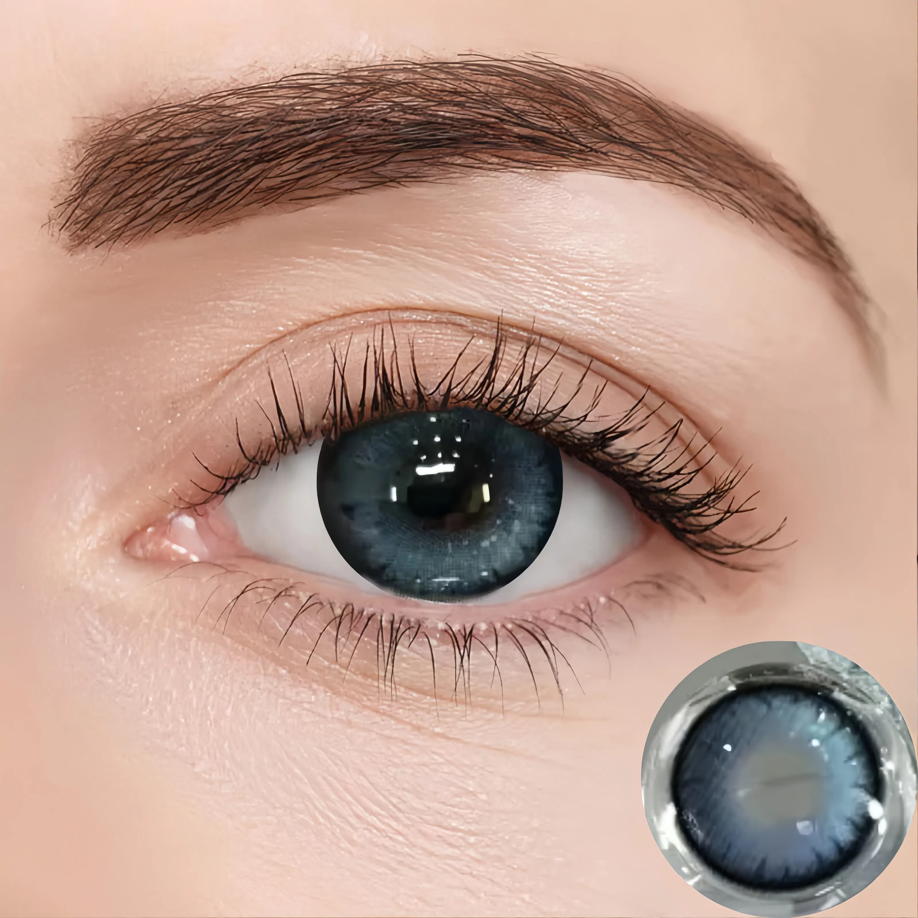 Forest Blue | Half-Yearly