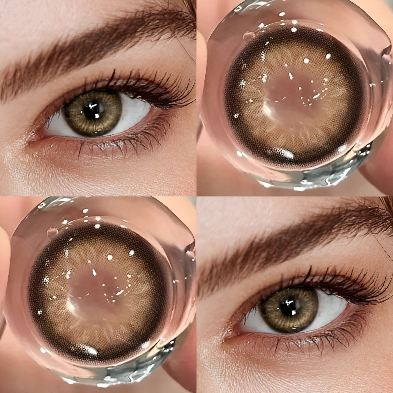 Bangkok Amber Brown | Yearly