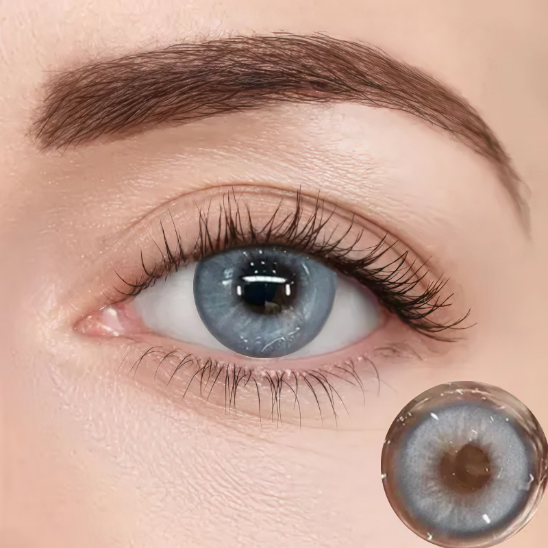 Taylor Blue Gray | Half-Yearly