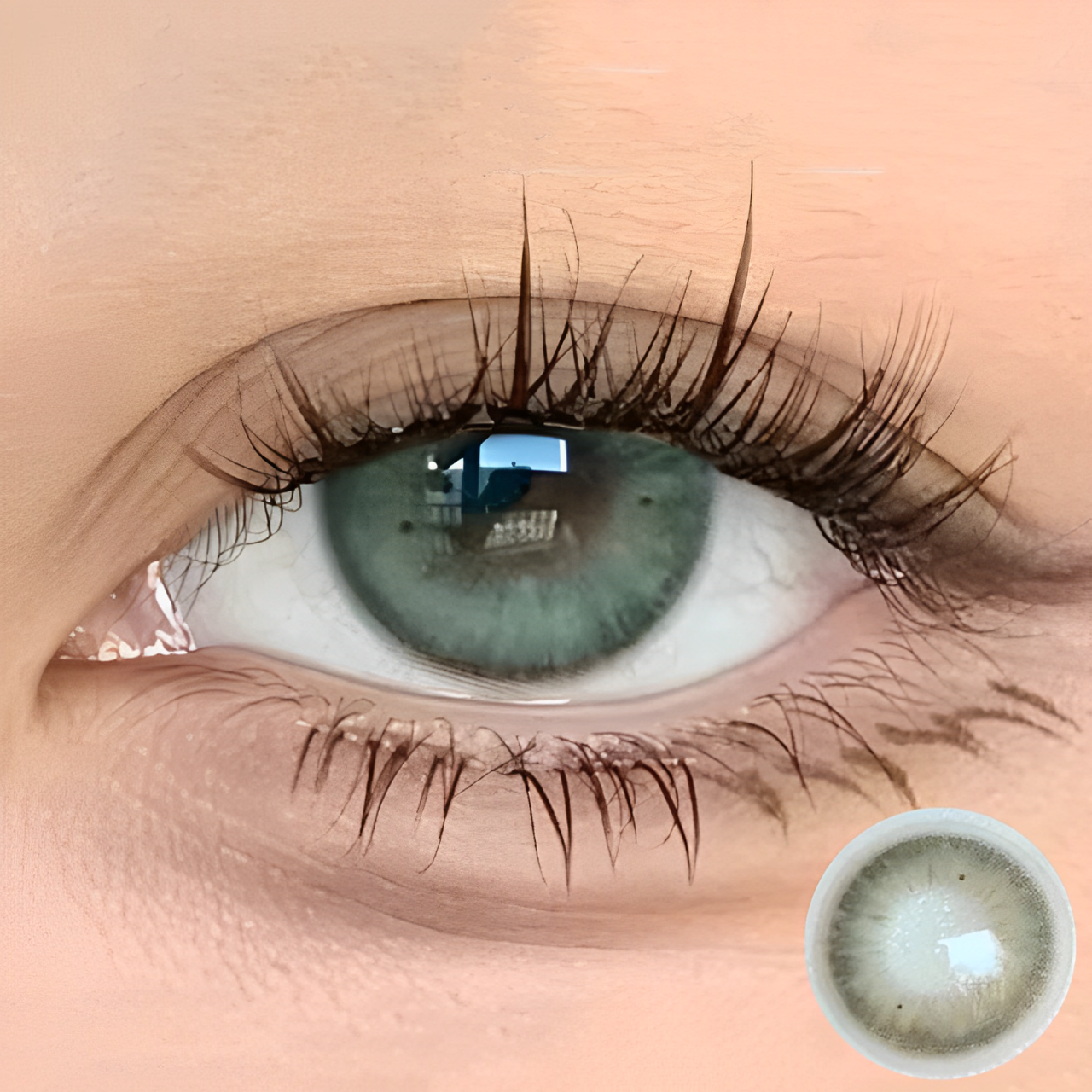 Lead Gray Contact Lenses(12 months wear)