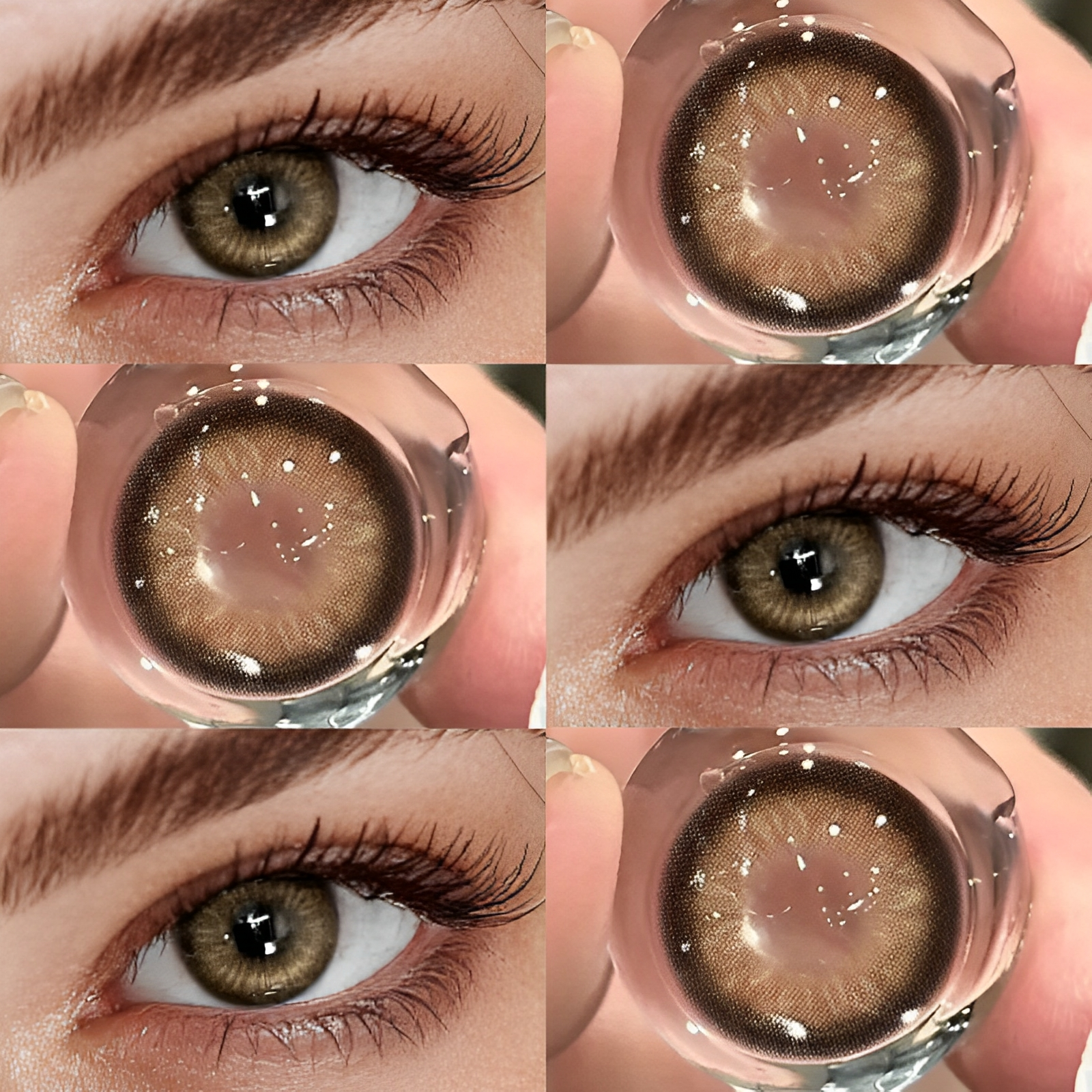 Bangkok Amber Brown | Yearly