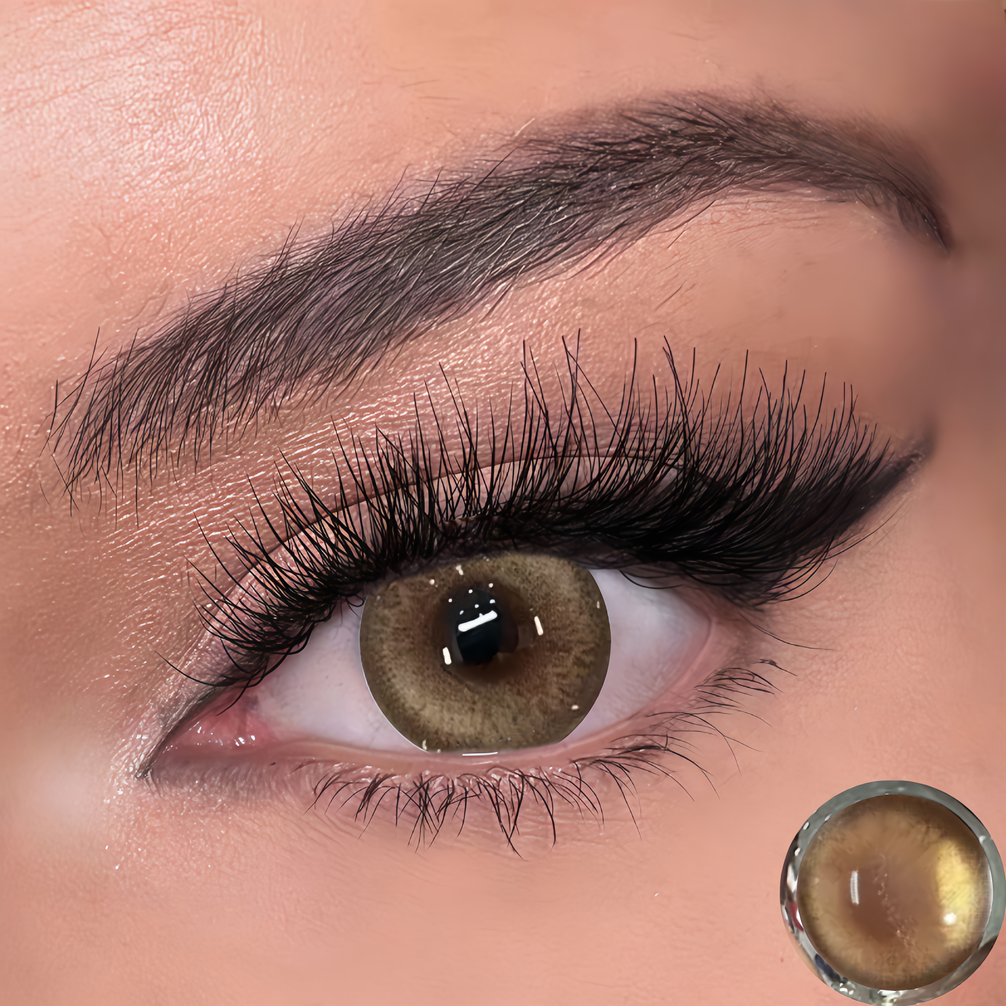 Firefly Beeswax Contact Lenses  | Yearly