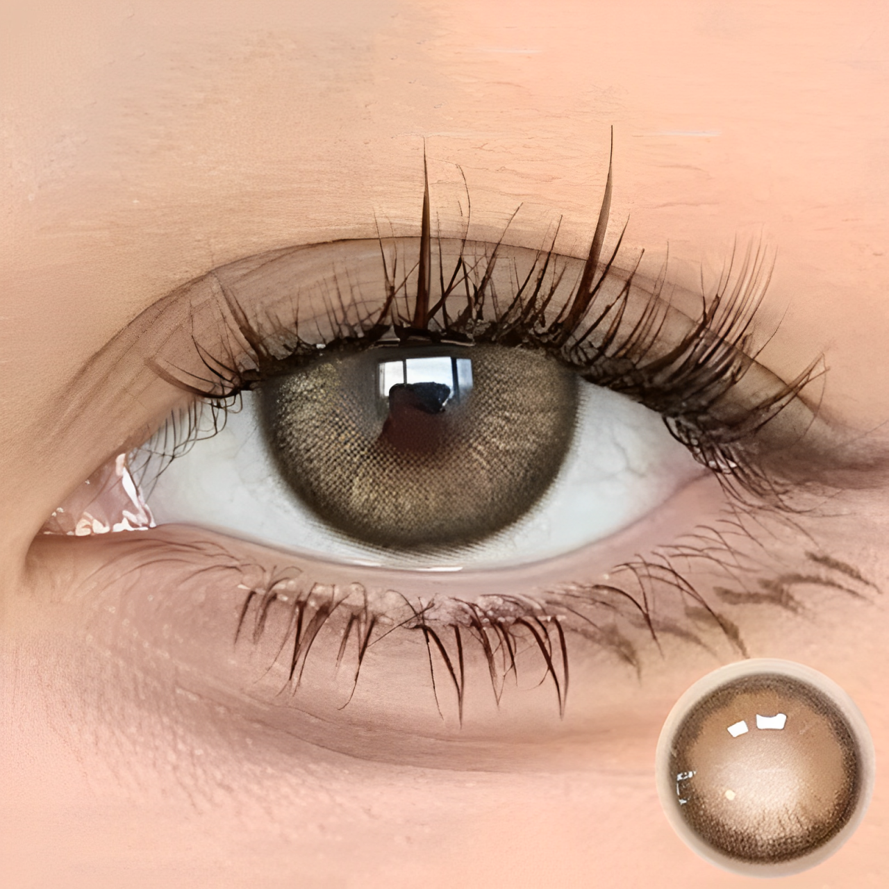 Nordic Barbie Brown Contact Lenses(6months wear)