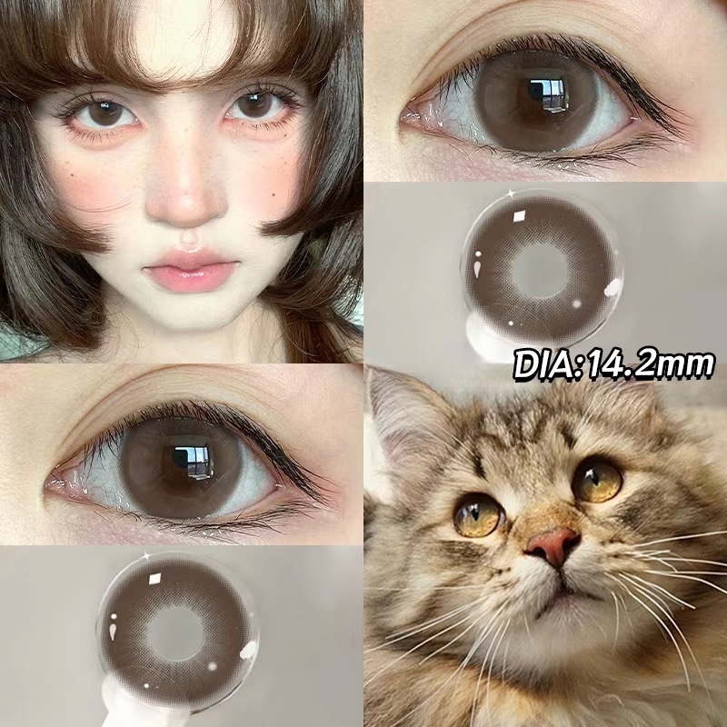 Gentle Apricot Brown | Half-Yearly