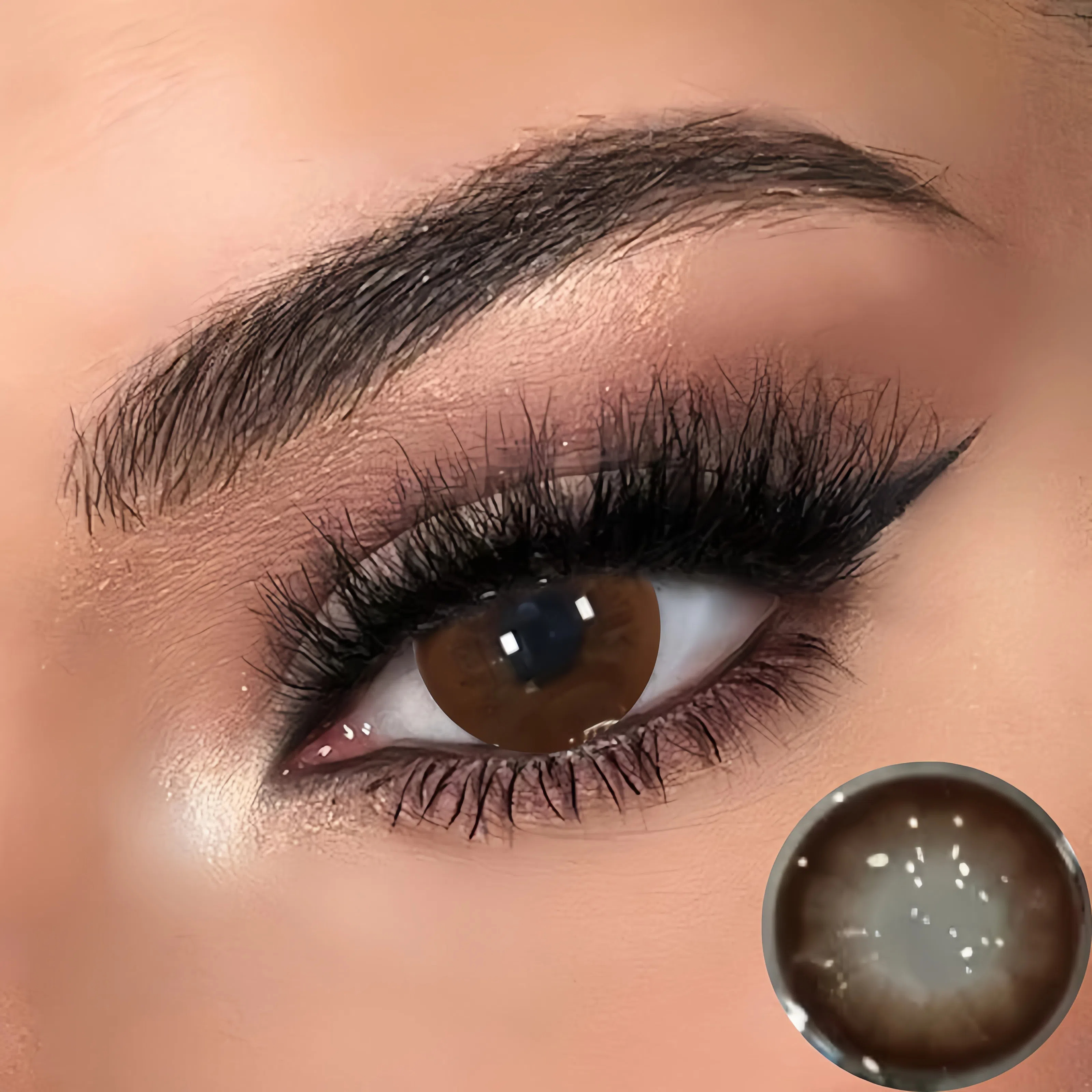 Big Beauty Brown | Half-Yearly