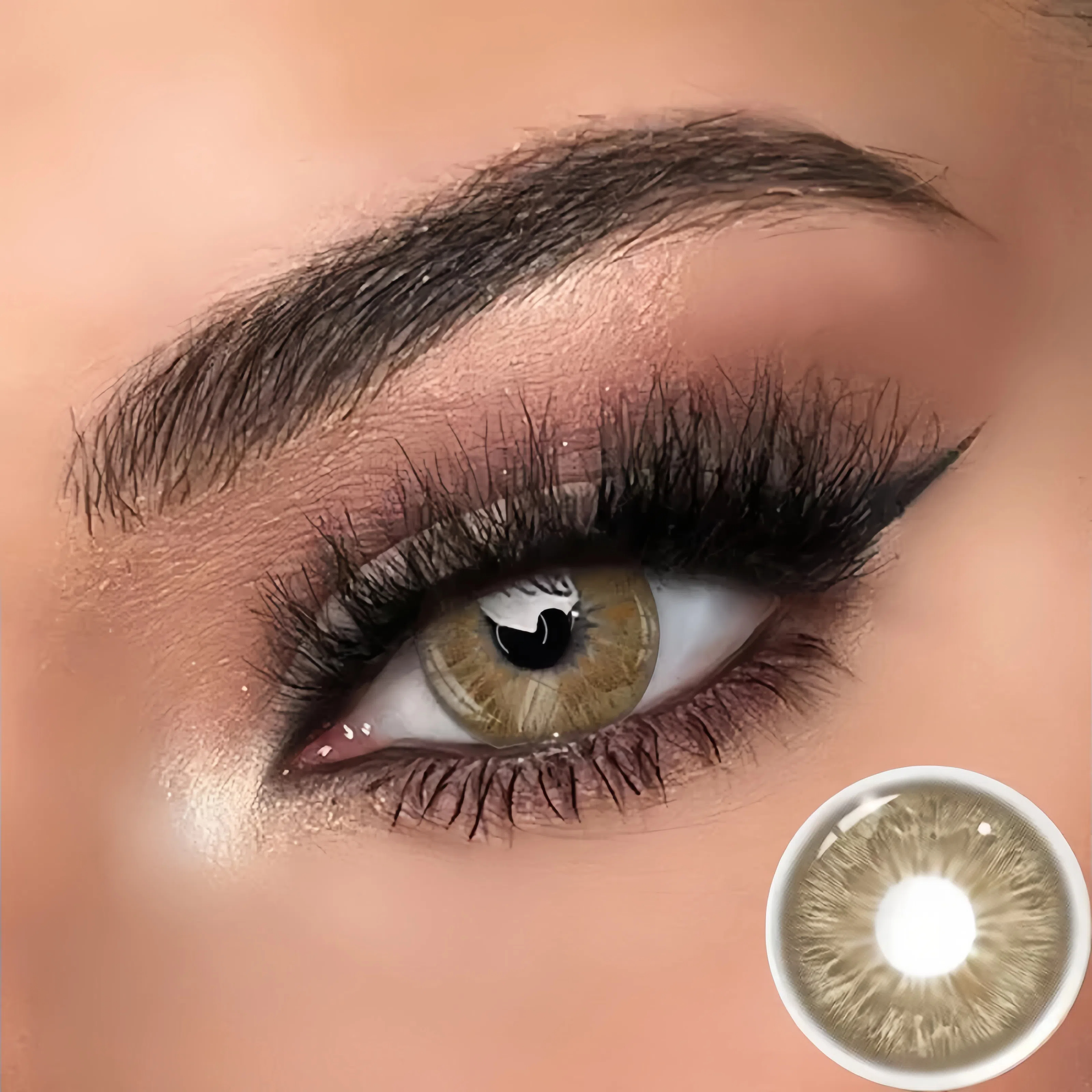 Leopard Brown | Yearly