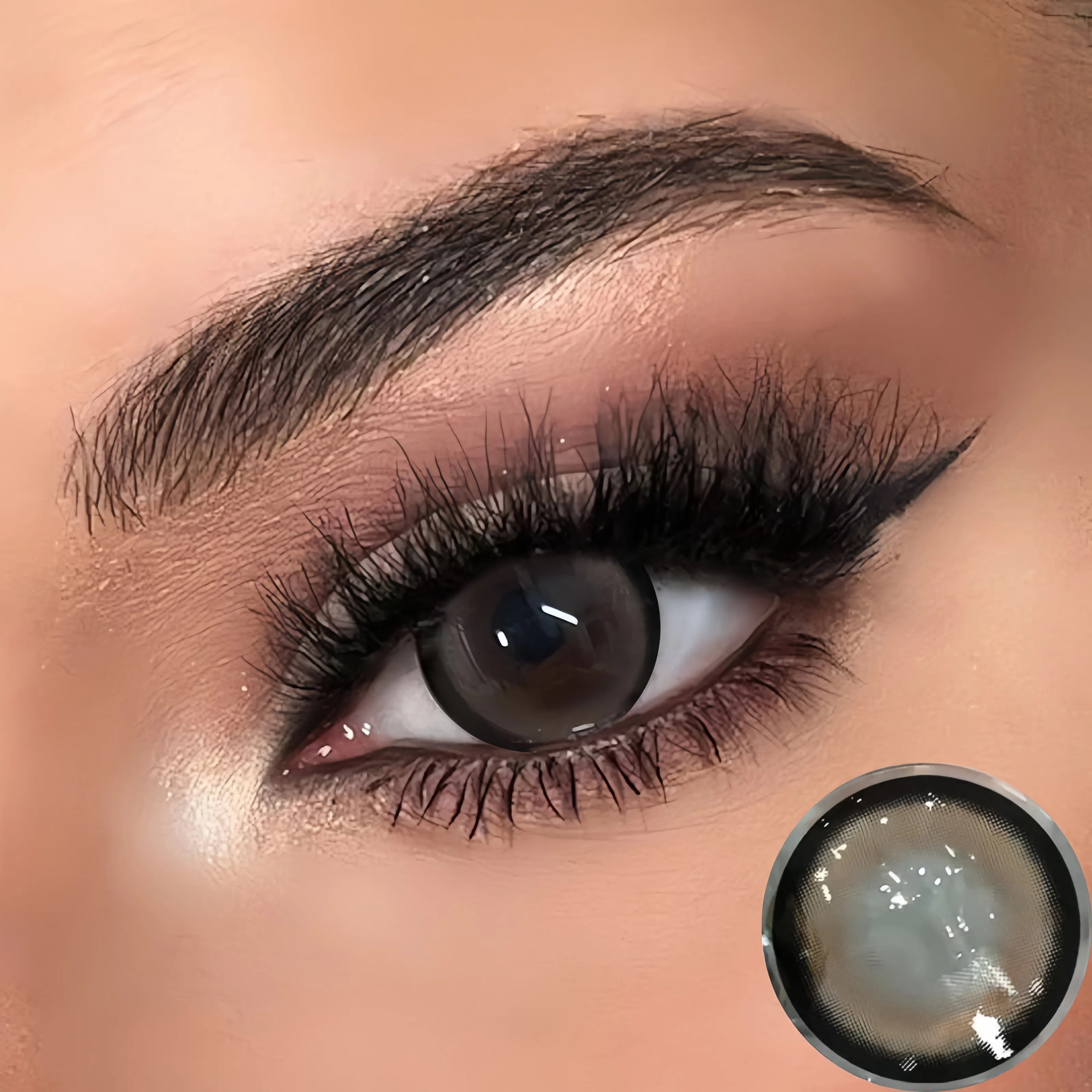Plum Brown Contact Lenses | Half-Yearly