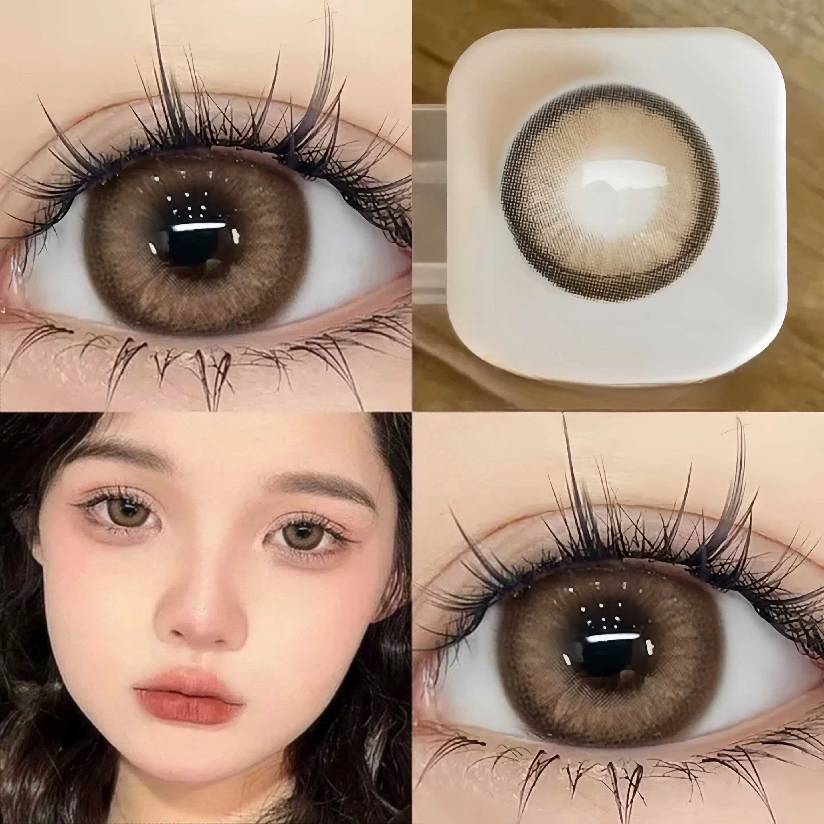 Coffee Brown | Half-Yearly