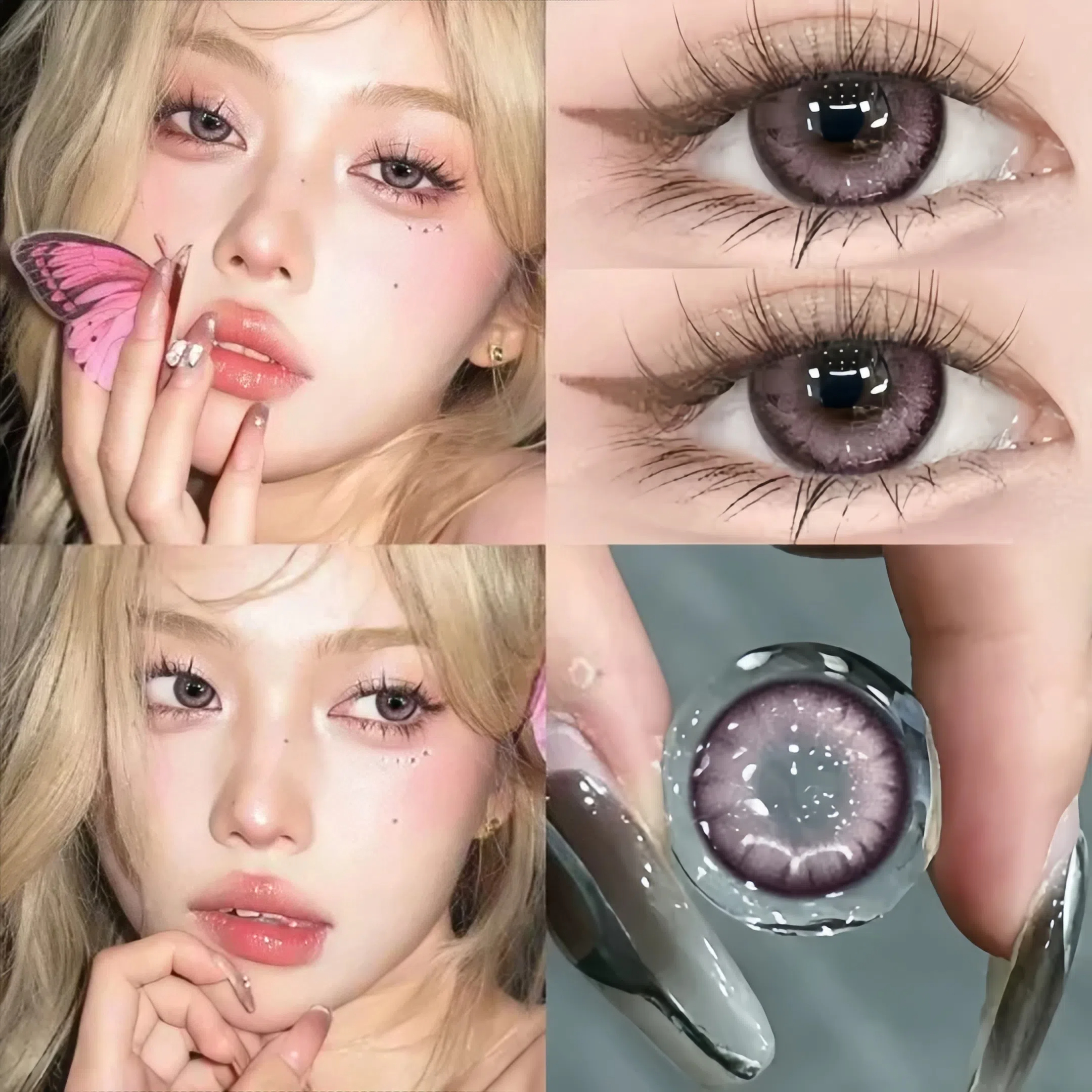 Gray Rose | Half-Yearly