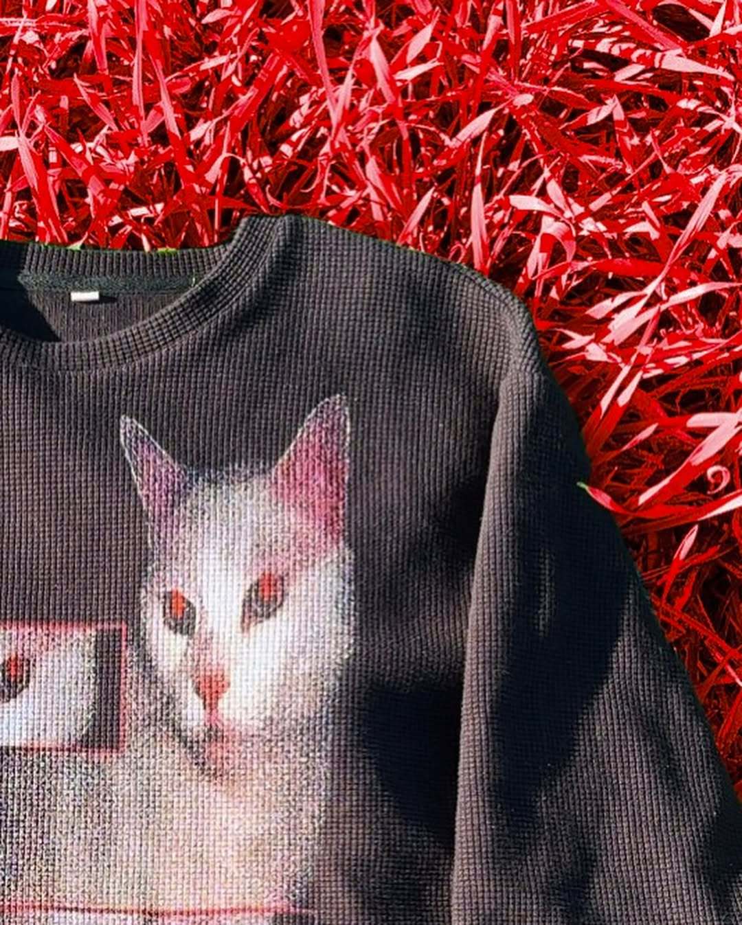 "EVIL CAT" THERMAL
