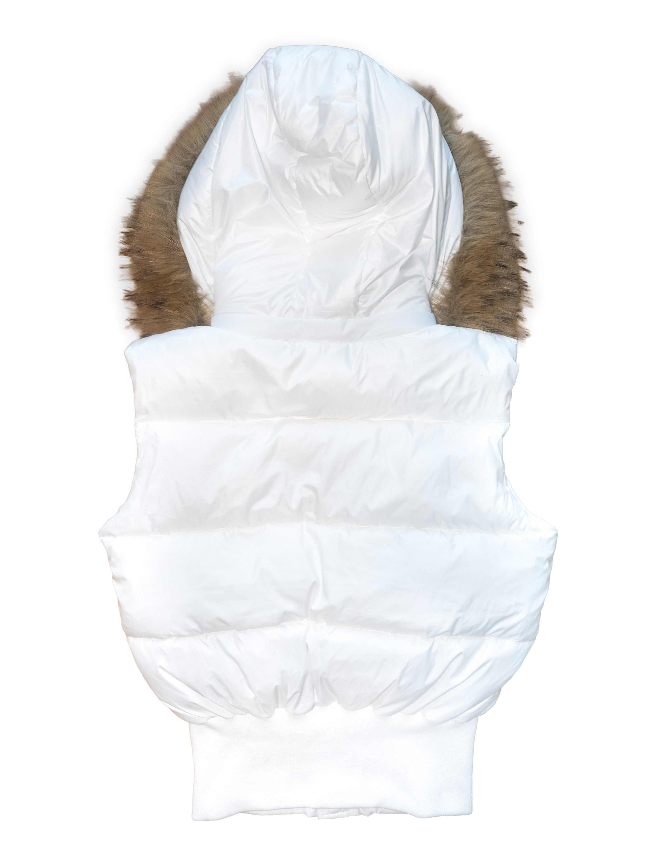 CURSIVE SHELL JACKET