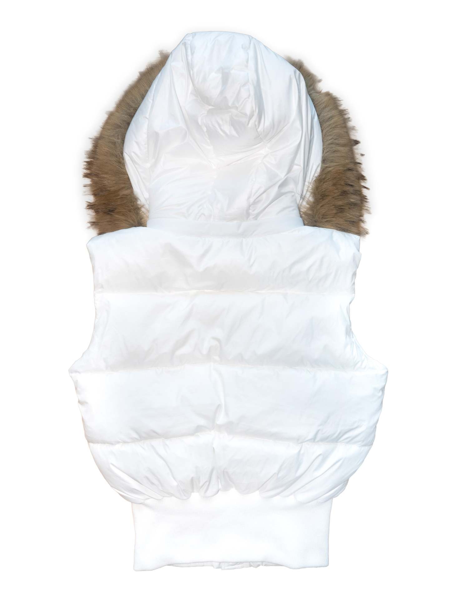 CURSIVE SHELL JACKET