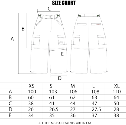 DIGITAL CONVERTIBLE CARGOS