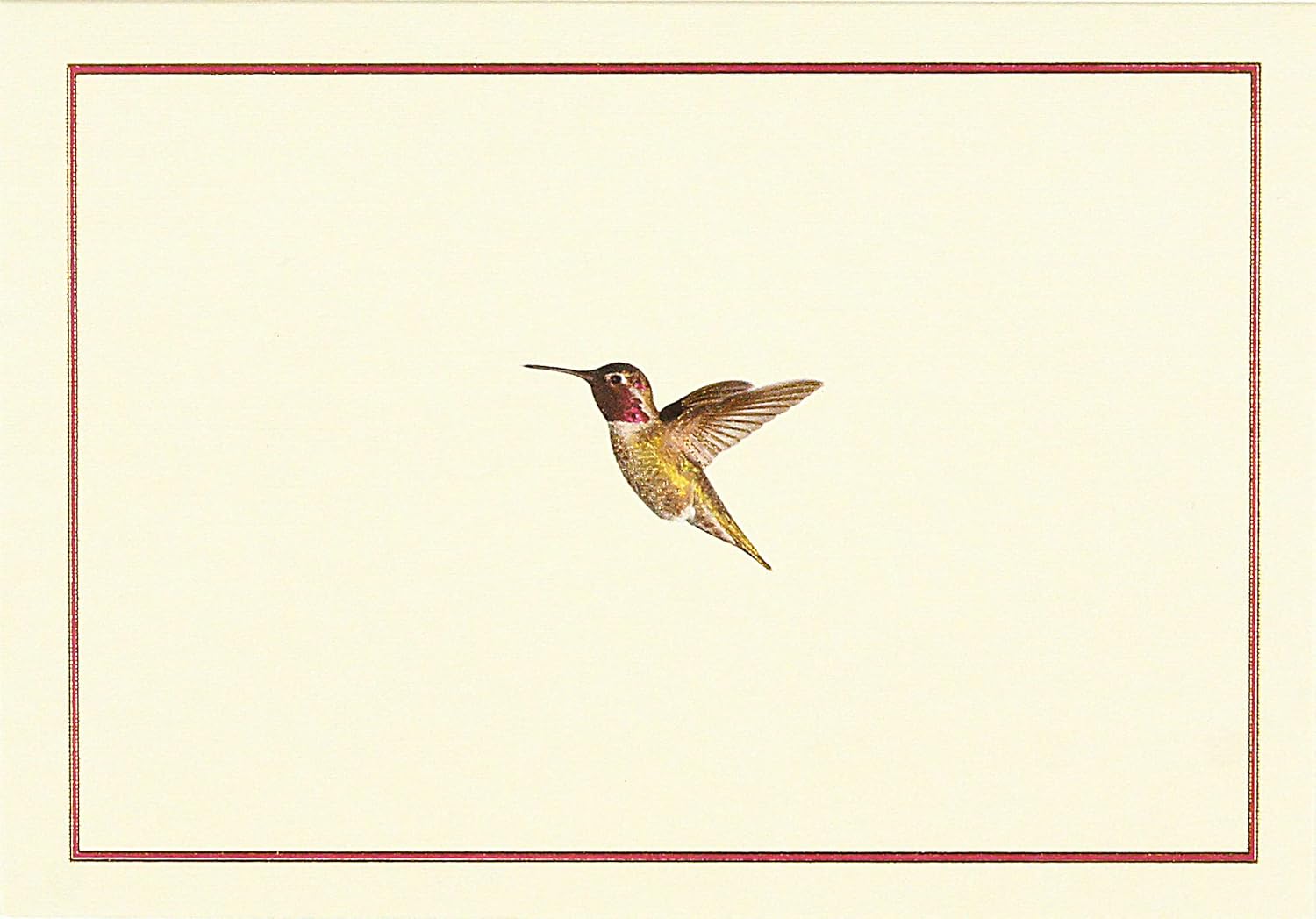 Bird-Themed Note Cards (Stationery, Boxed Cards)