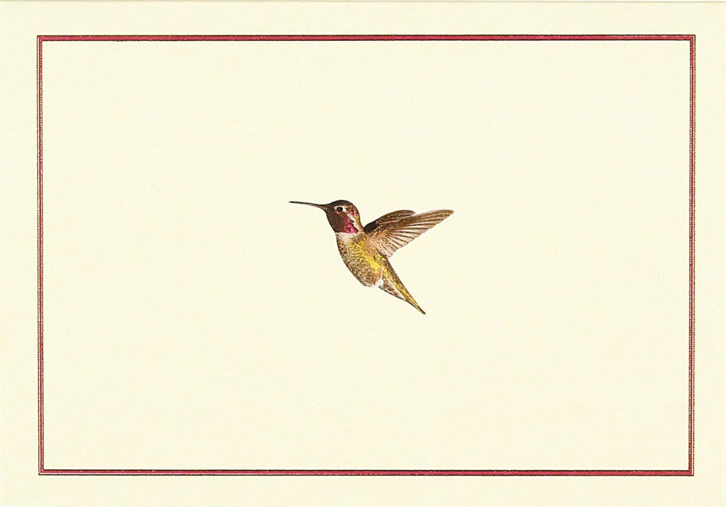 Bird-Themed Note Cards (Stationery, Boxed Cards)