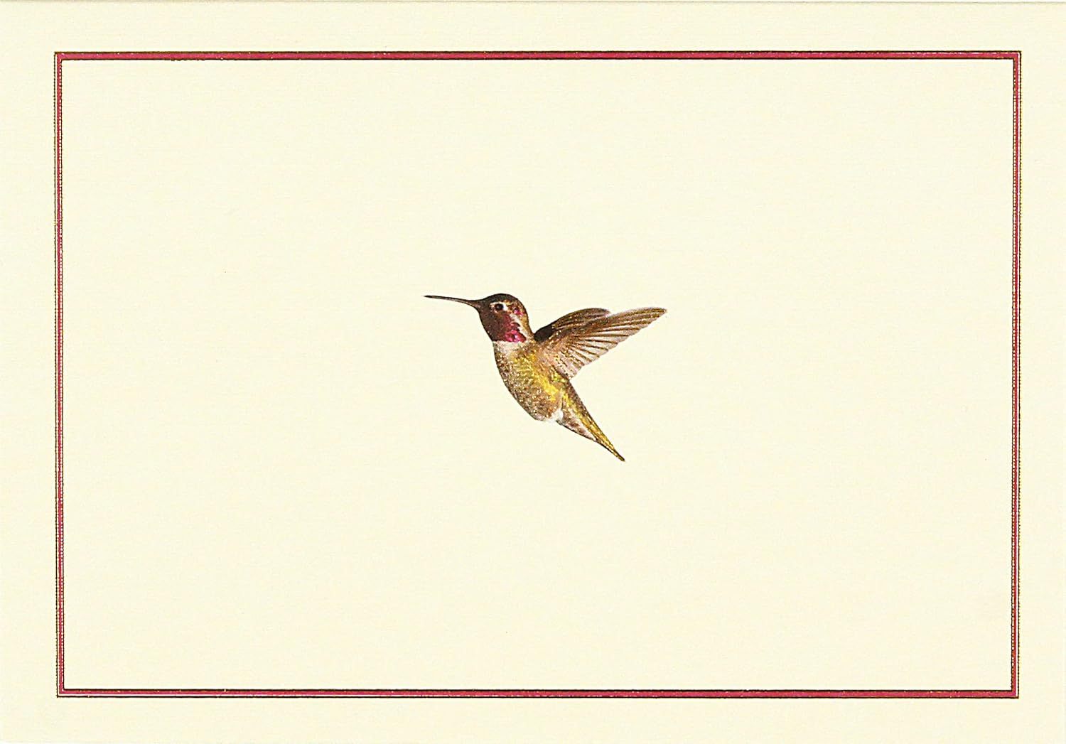 Bird-Themed Note Cards (Stationery, Boxed Cards)