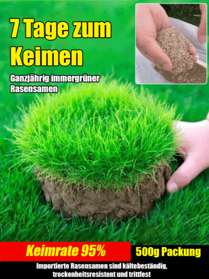 🌱 Holländische Technologie: Sichtbare Keimung in 7 Tagen, dichter Rasen in nur 45 Tagen. 100% mähfrei! 