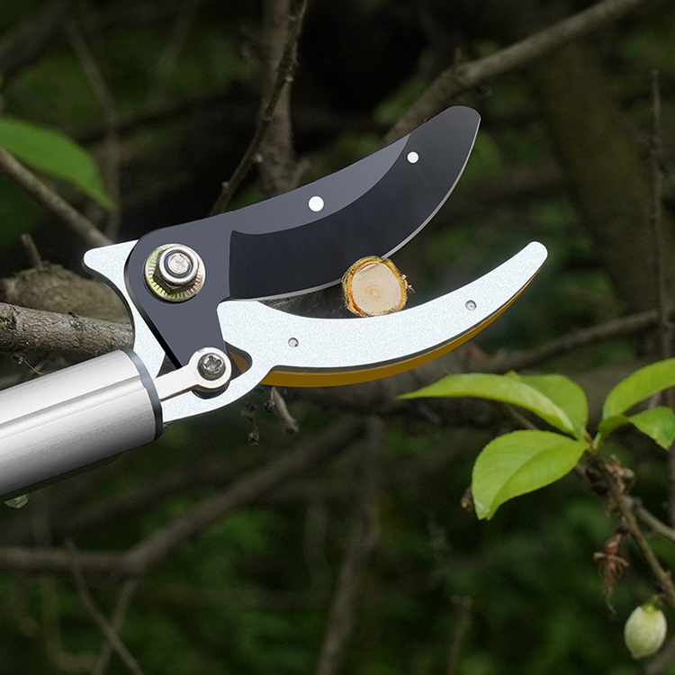 Multifunktionaler Obstpflücker