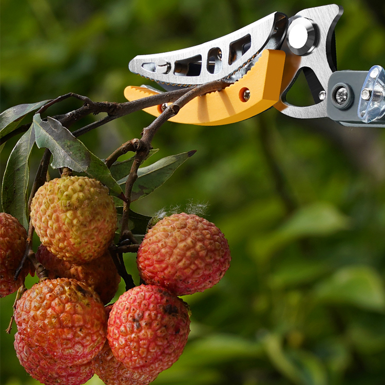 Multifunktionaler Obstpflücker