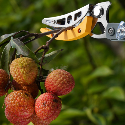 Multifunktionaler Obstpflücker