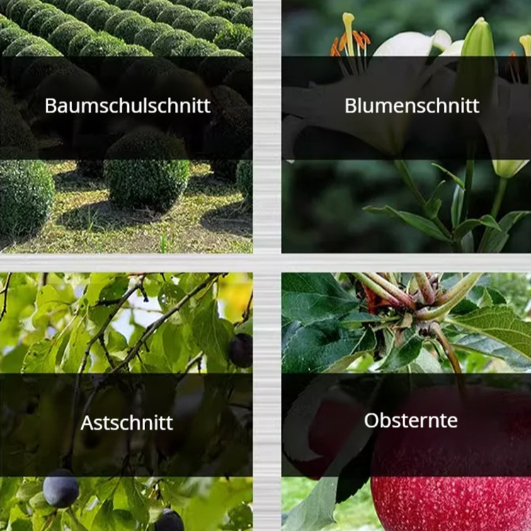 Ergonomische Astschere für trockene und harte Zweige 