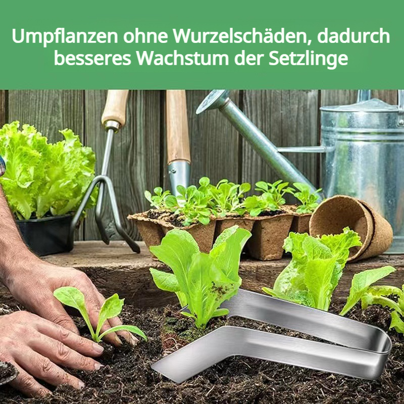 Gartenbau-Edelstahlzange für die Verpflanzung von Setzlingen 